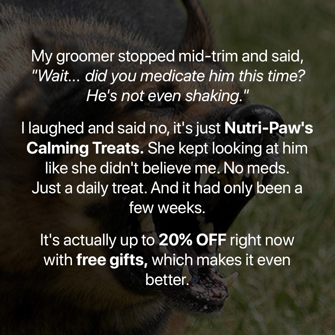 Better Dog Behaviour Facebook ad: Help Your Dog Feel Safe Again.