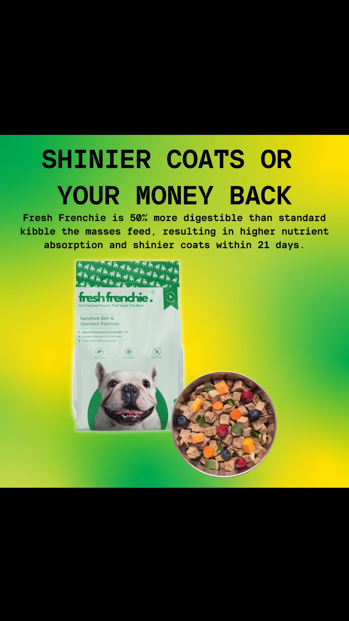 Fresh Frenchie Facebook ad