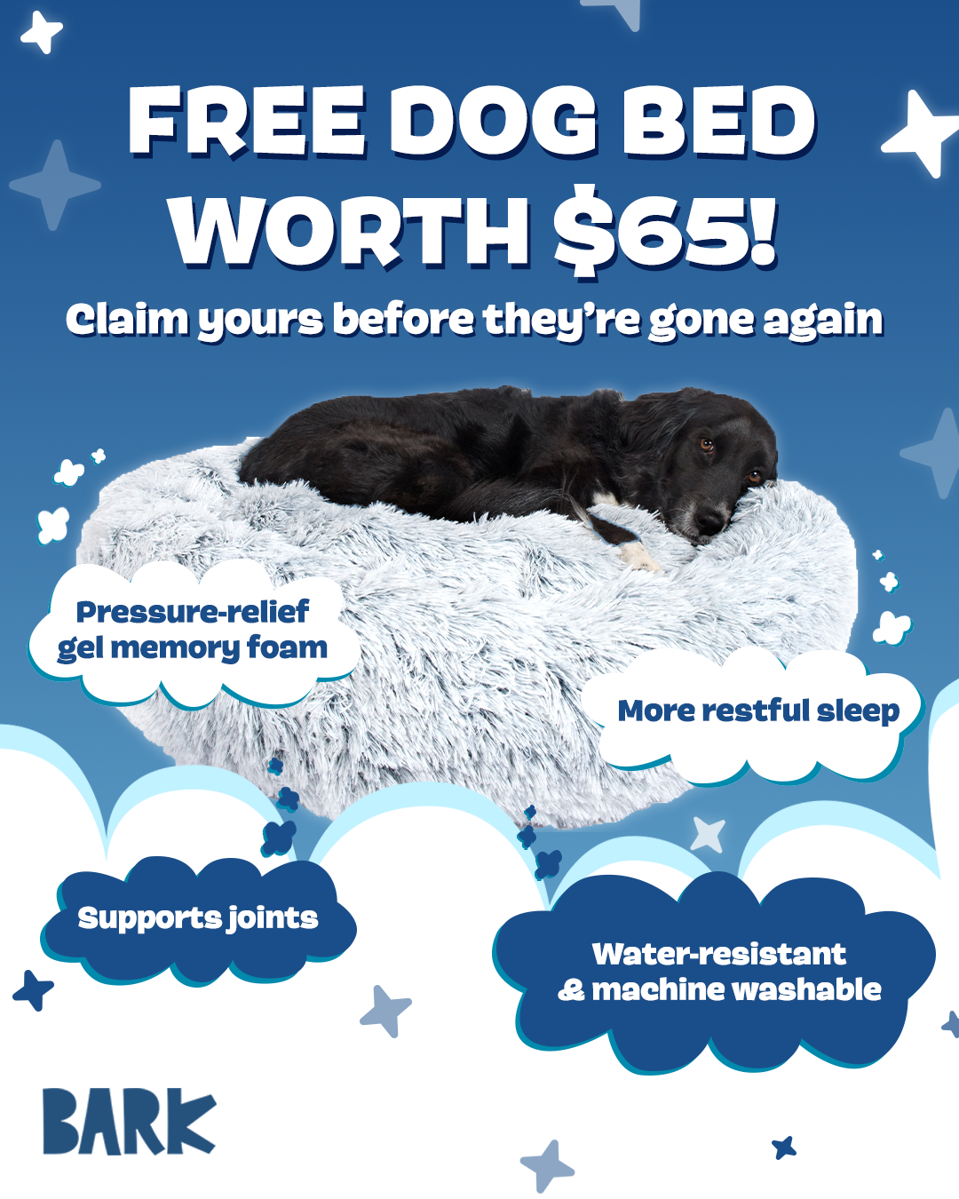 Super Chewer BarkBox Facebook ad from Aug 12, 2026
