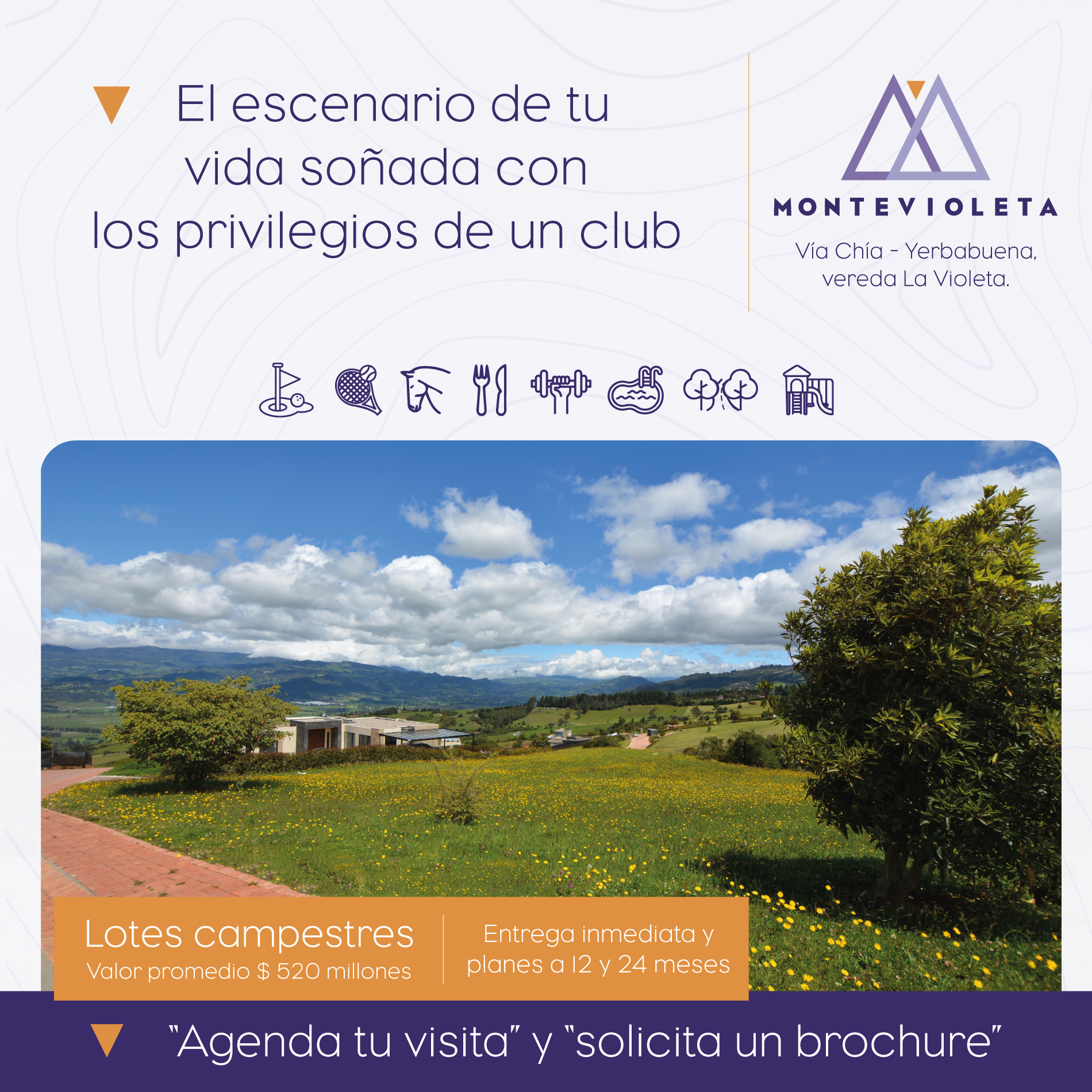 Montevioleta Facebook ad