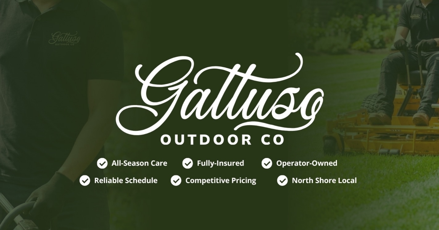 Joe Gattuso Facebook ad