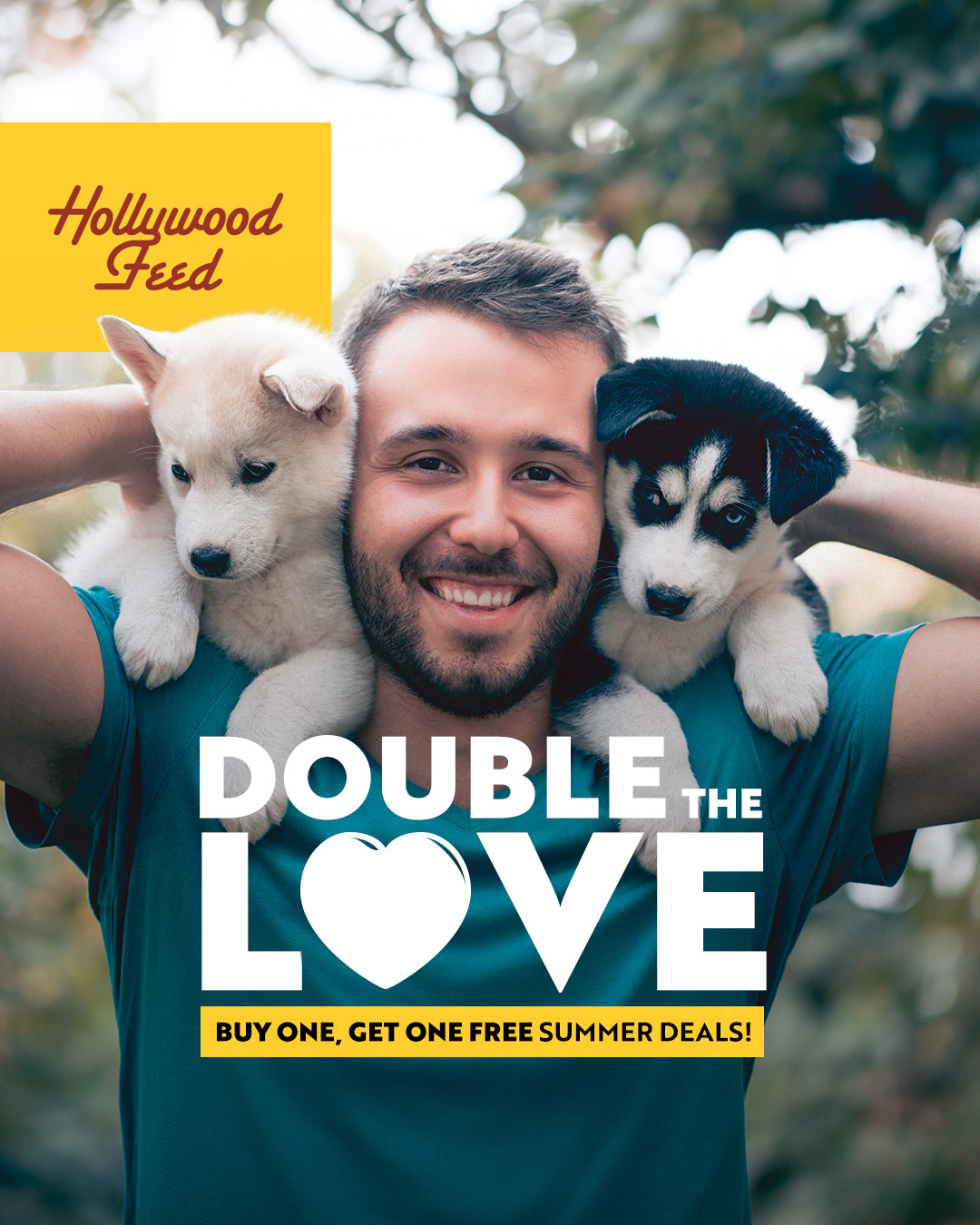 Hollywood Feed Facebook ad