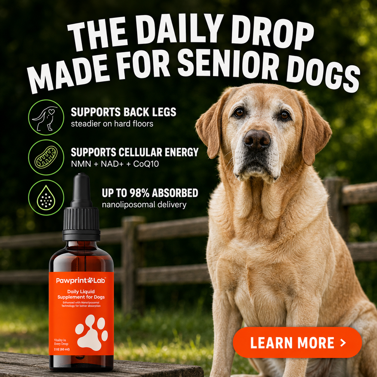 Vet-Approved Pet Products Facebook ad