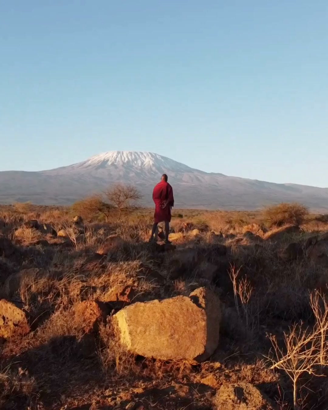 Shimansky South Africa Facebook ad: From the Merelani Hills to a Shimansky Masterpiece