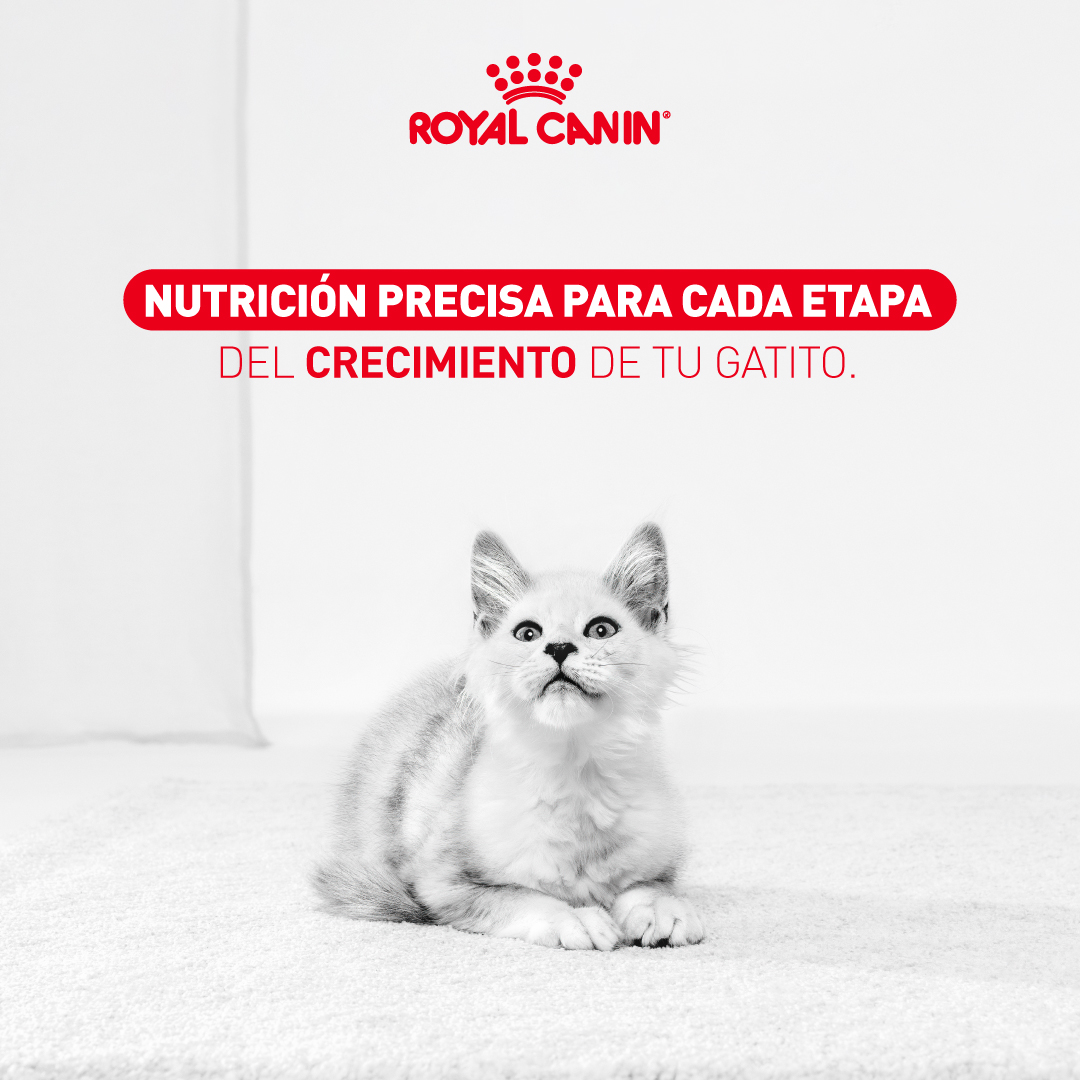 Royal Canin Colombia Facebook ad: Un comienzo excepcional merece nutrición precisa desde el…