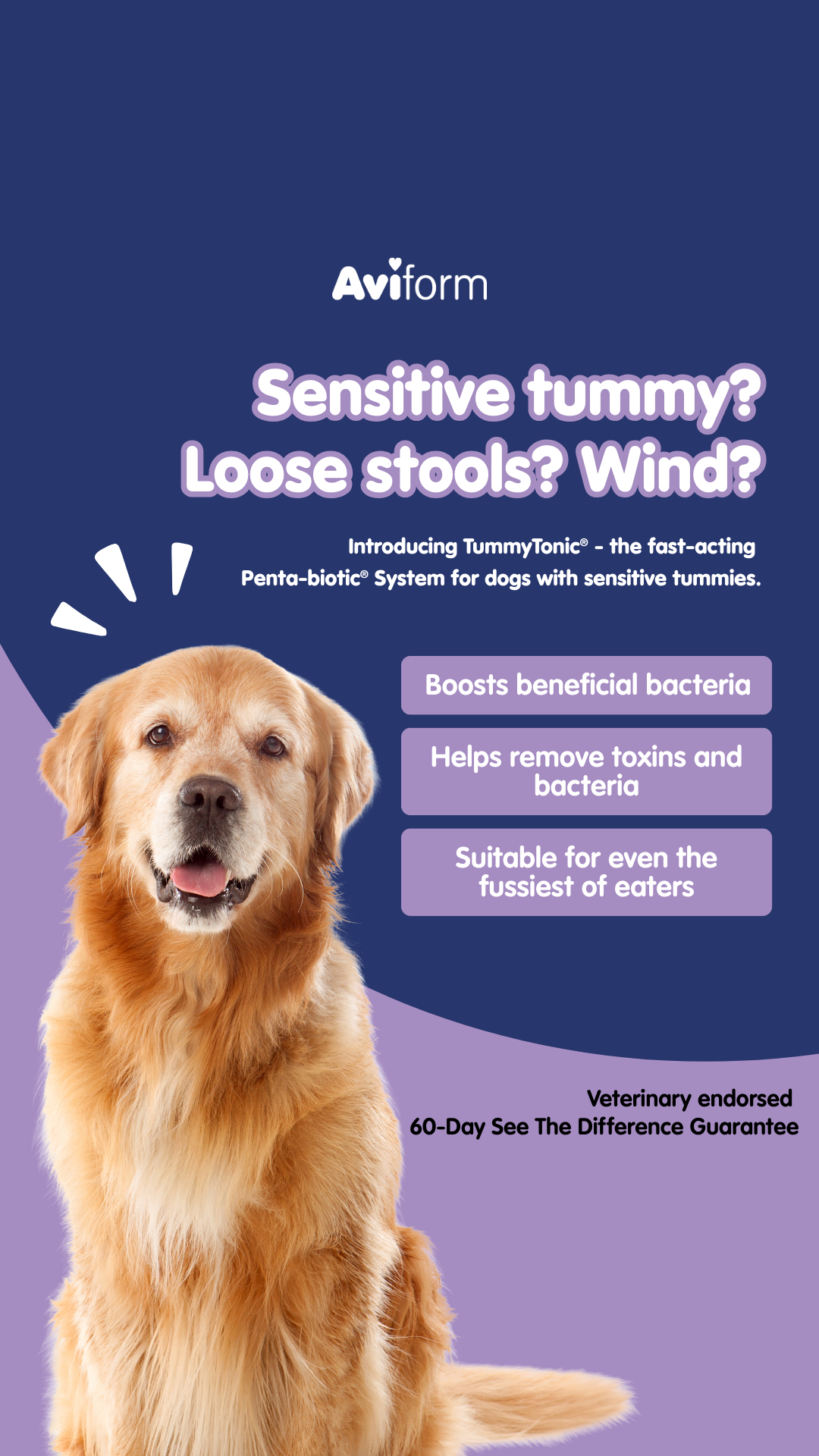Aviform Nutrition UK - Horse & Dog Facebook ad