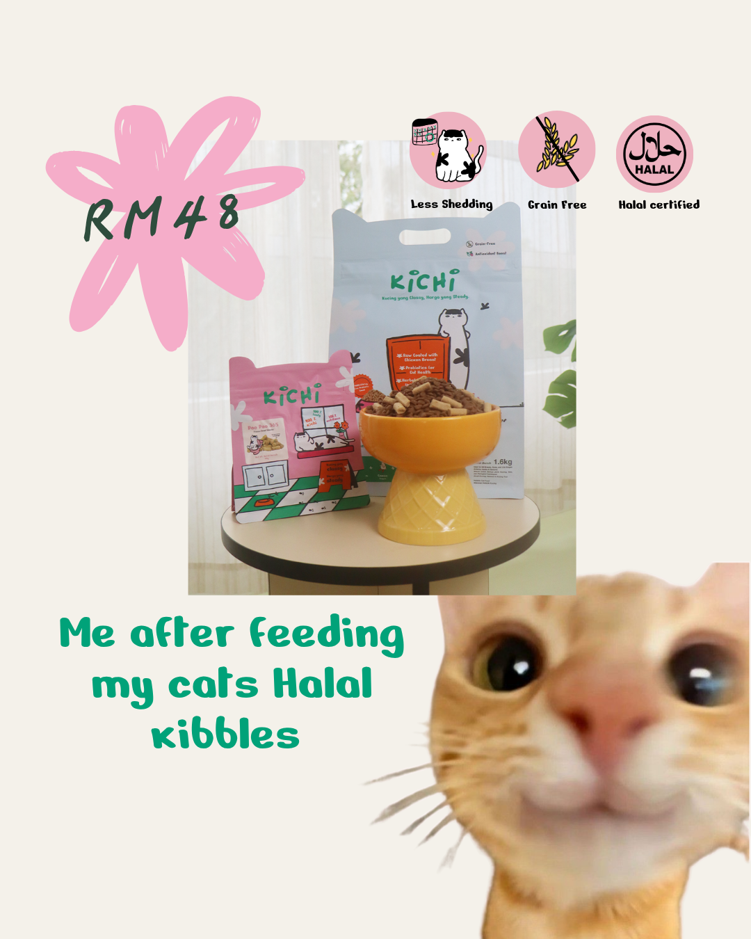 Kichi Cat Food Facebook ad