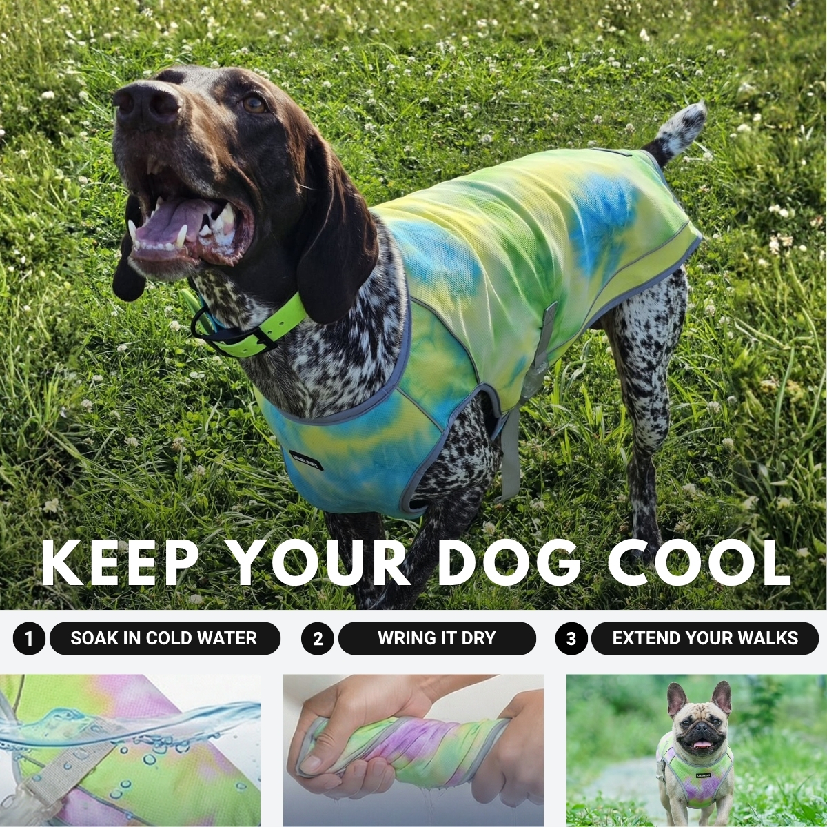 Spark Paws Facebook ad