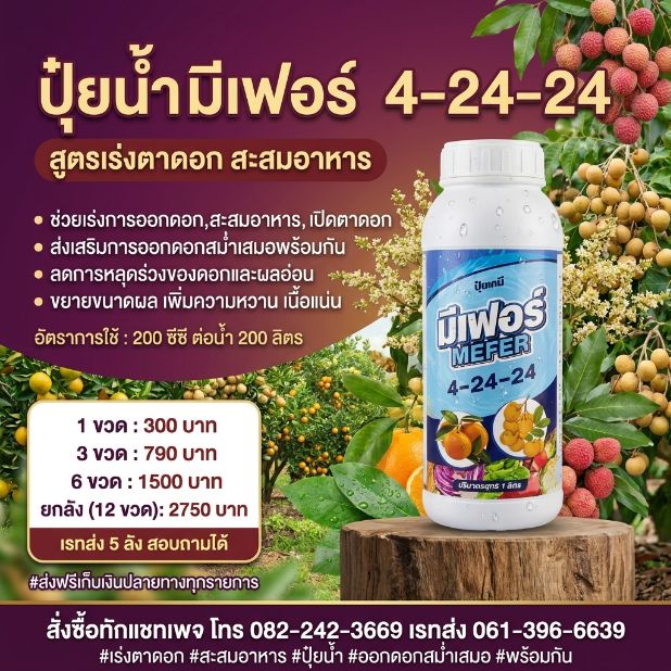 เกษตรออนไลน์ 54 Facebook ad: ปุ๋ยน้ำ 4-24-24 มีเฟอร์ ช่วยเร่งตาดอก สะสมอาหาร เปิดตาดอก…