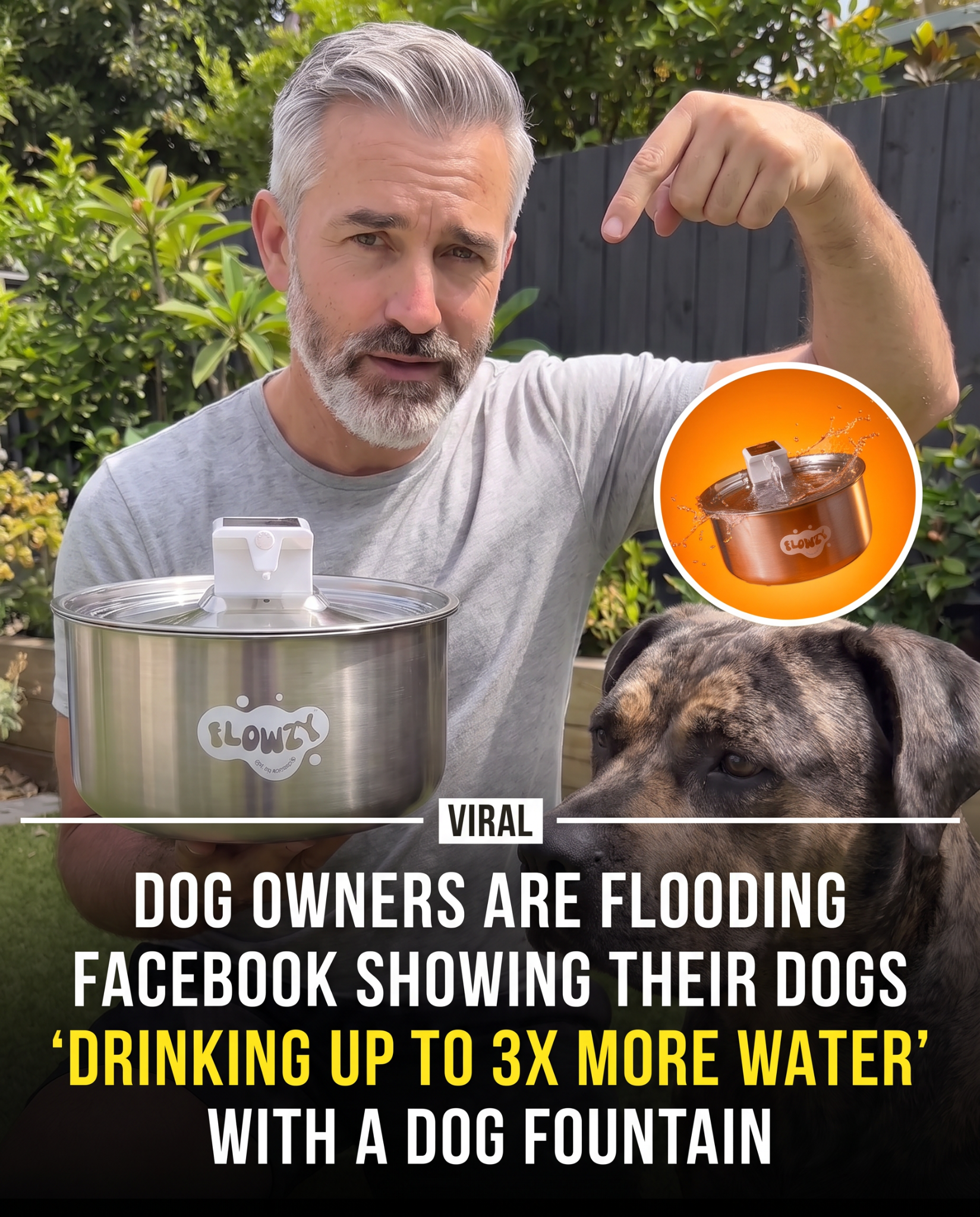Flowzy Facebook ad