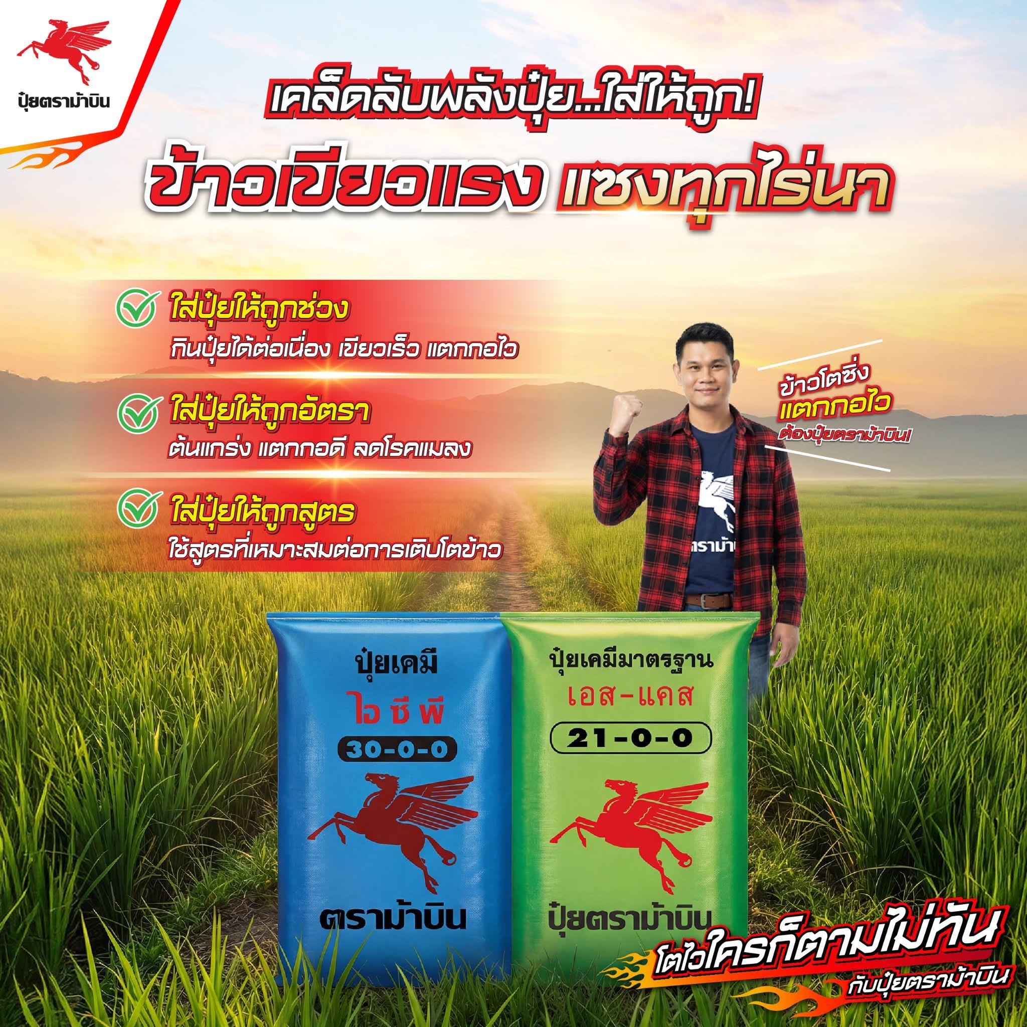 ปุ๋ยตราม้าบิน Facebook ad: พี่ม้าบิน มีสูตรเด็ด อยากให้นาข้าวเขียวทั้งแปลง