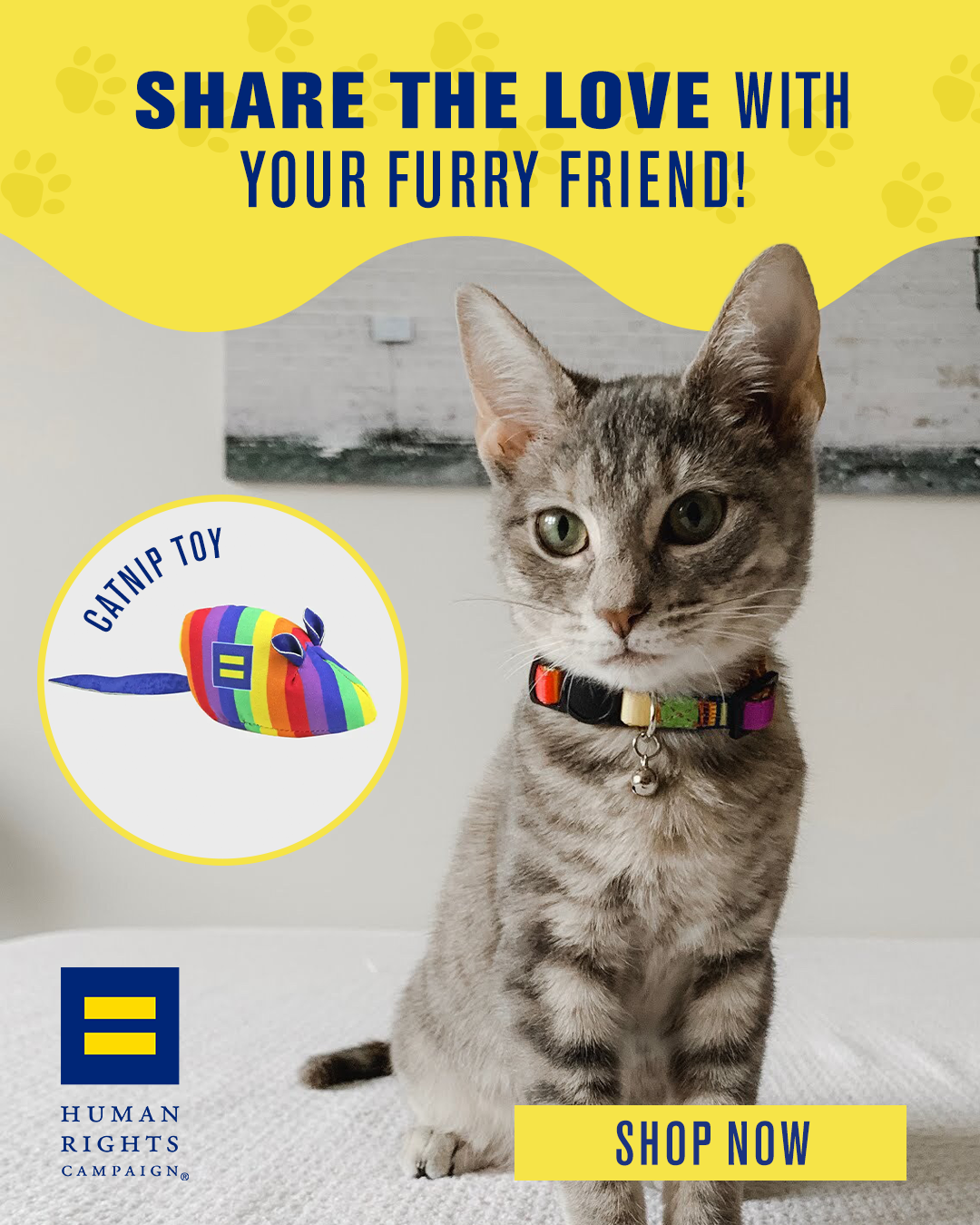 Human Rights Campaign Facebook ad