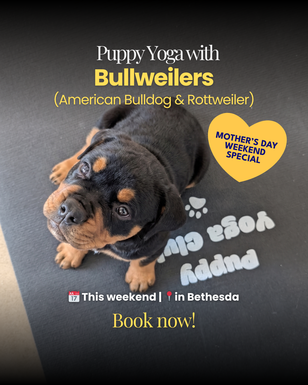 Puppy Yoga Club Facebook ad