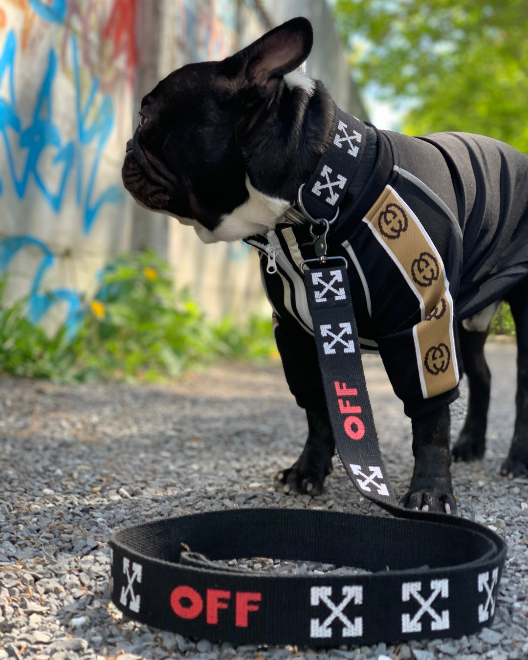Supreme Dog Garage Facebook ad