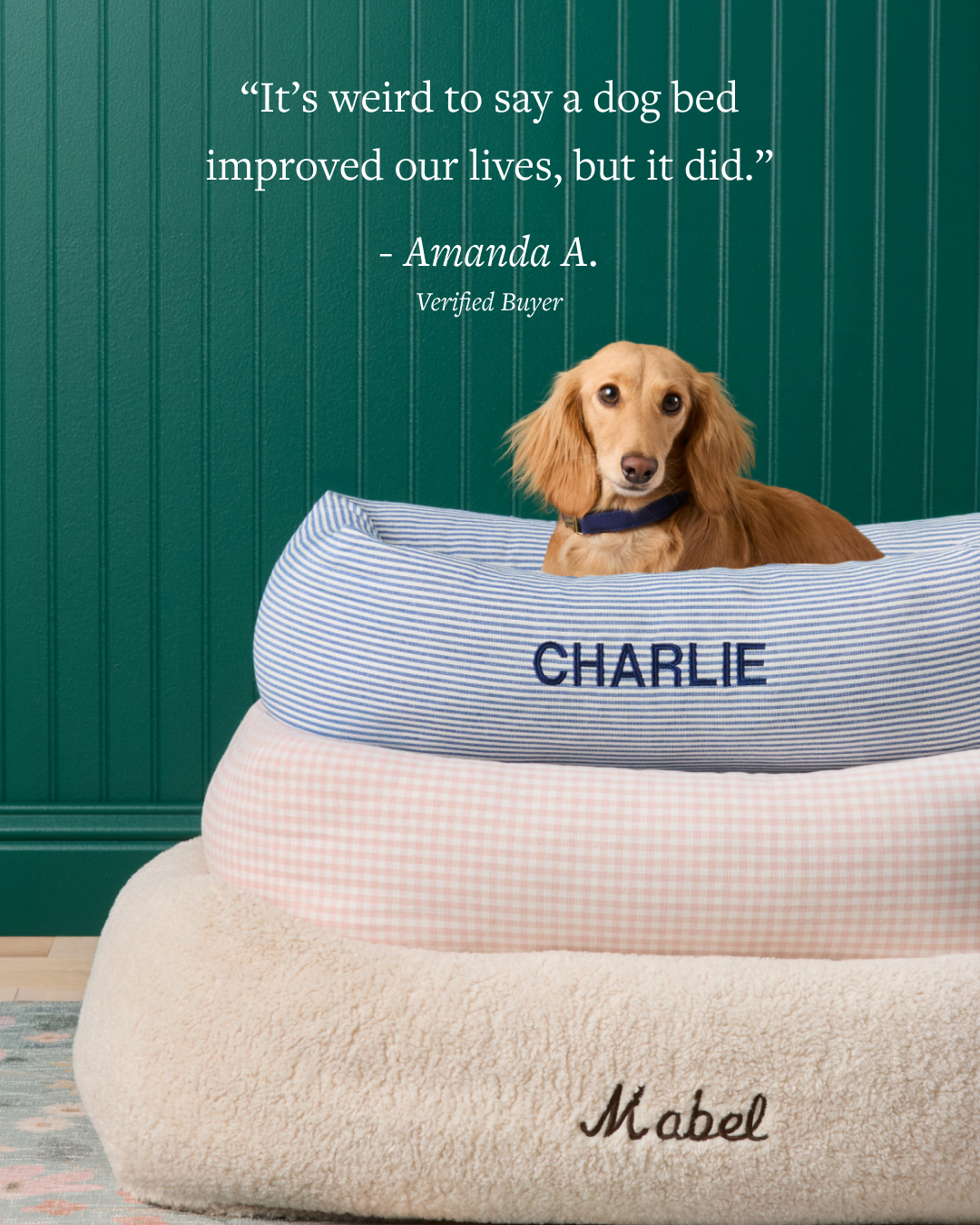 The Foggy Dog Facebook ad