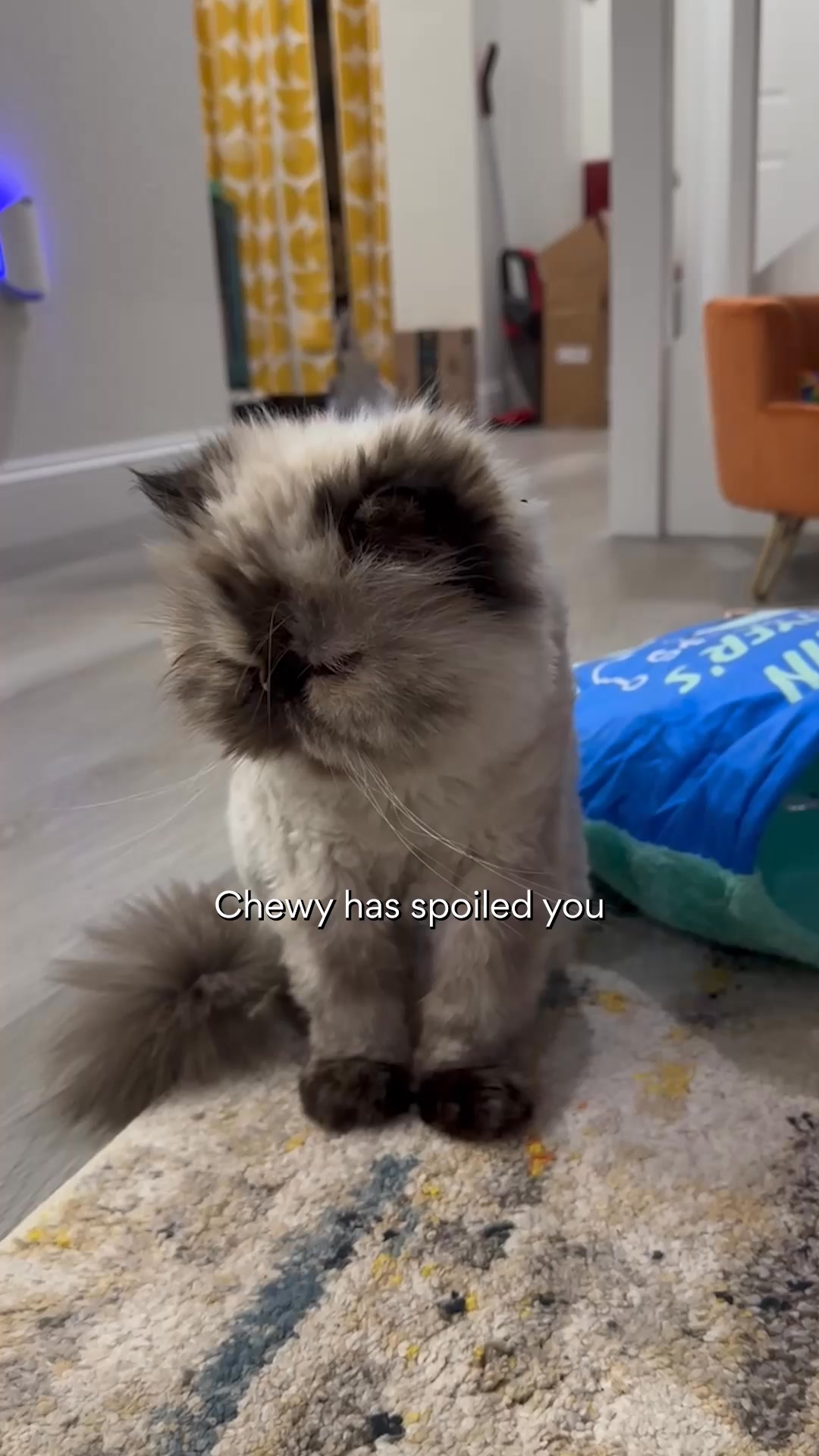 Chewy Facebook ad from Jun 30, 2026