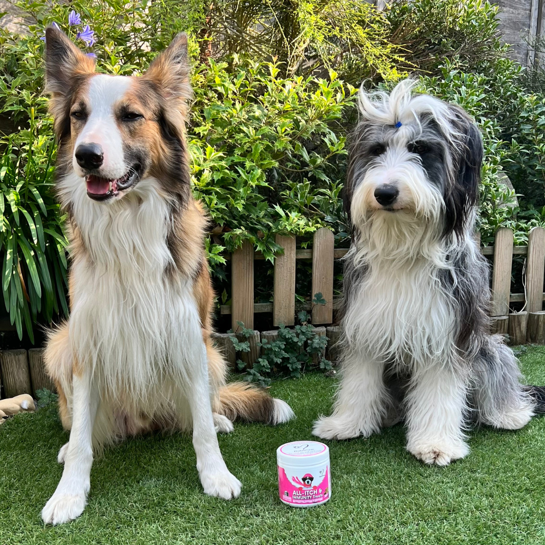 Nutri Paw Facebook ad