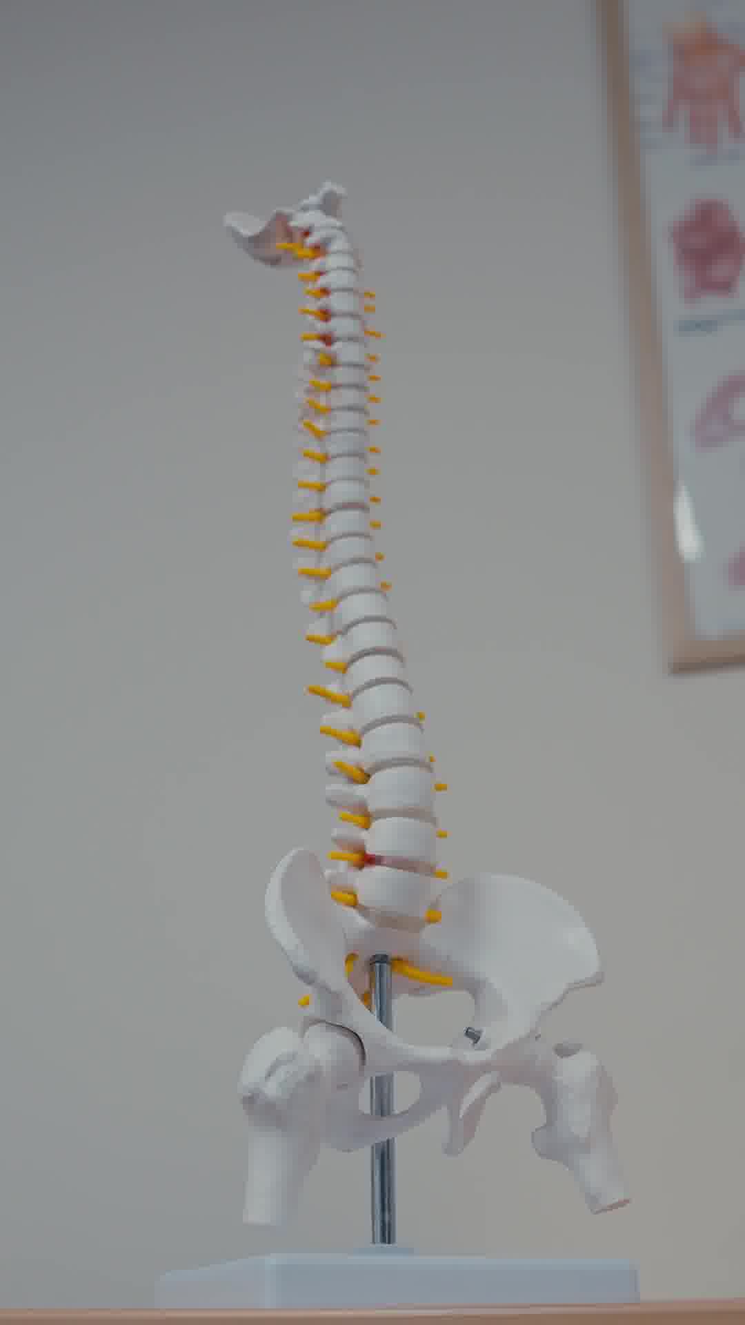 Back in Shape Chiropractic Facebook ad from Mar 20, 2025