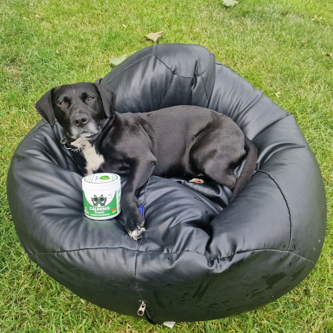 Nutri Paw Facebook ad