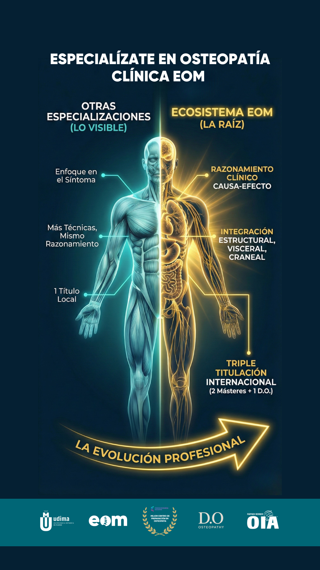 Escuela de Osteopatía de Madrid - América Facebook ad from Feb 20, 2026