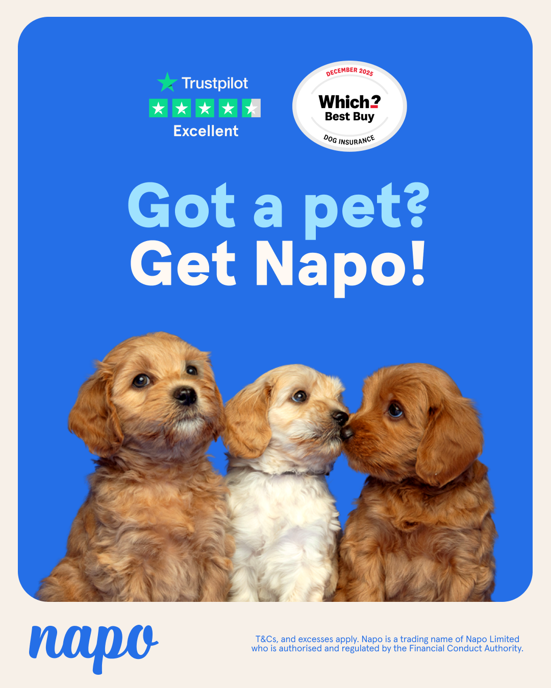 Napo Pet Insurance Facebook ad