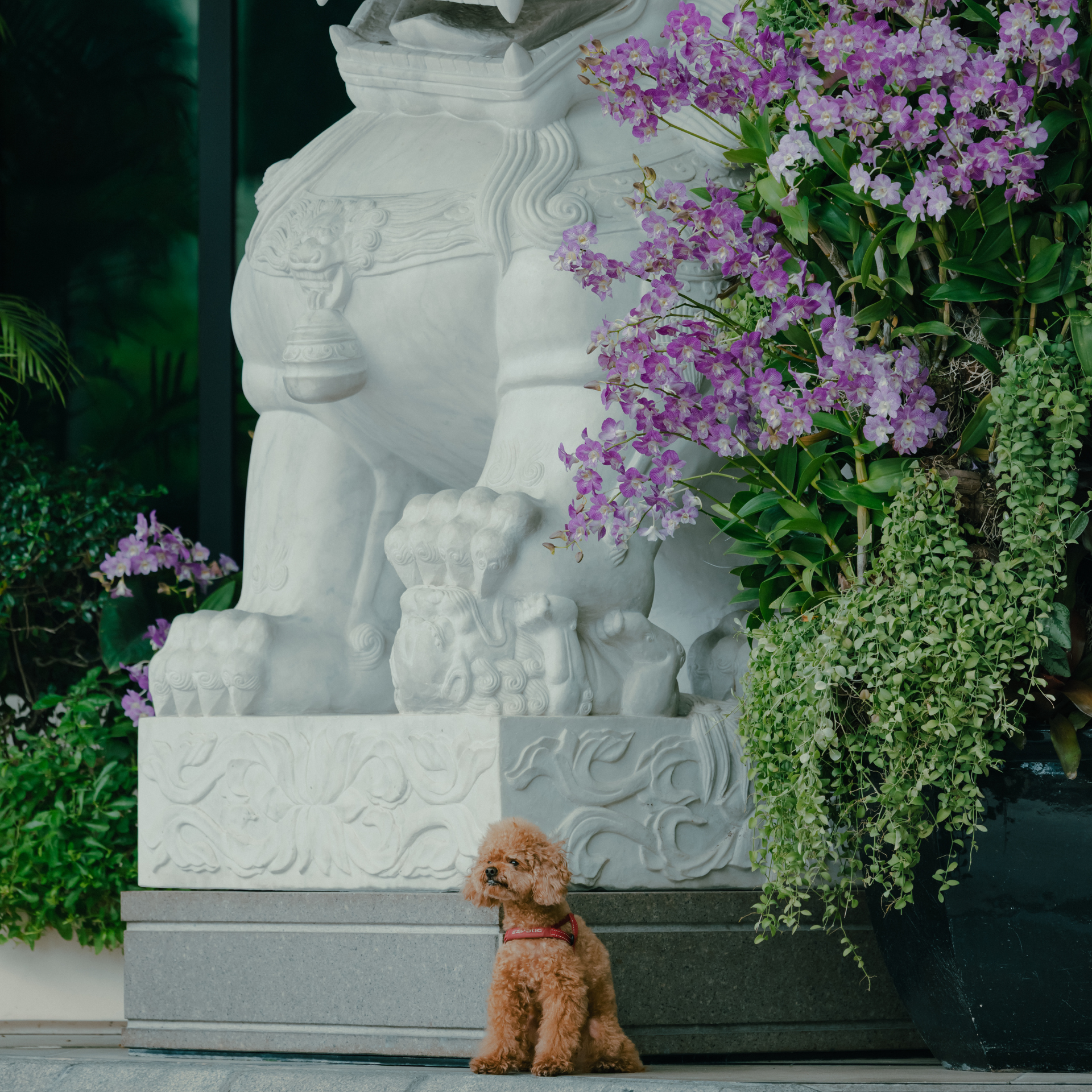 The Peninsula Bangkok Facebook ad