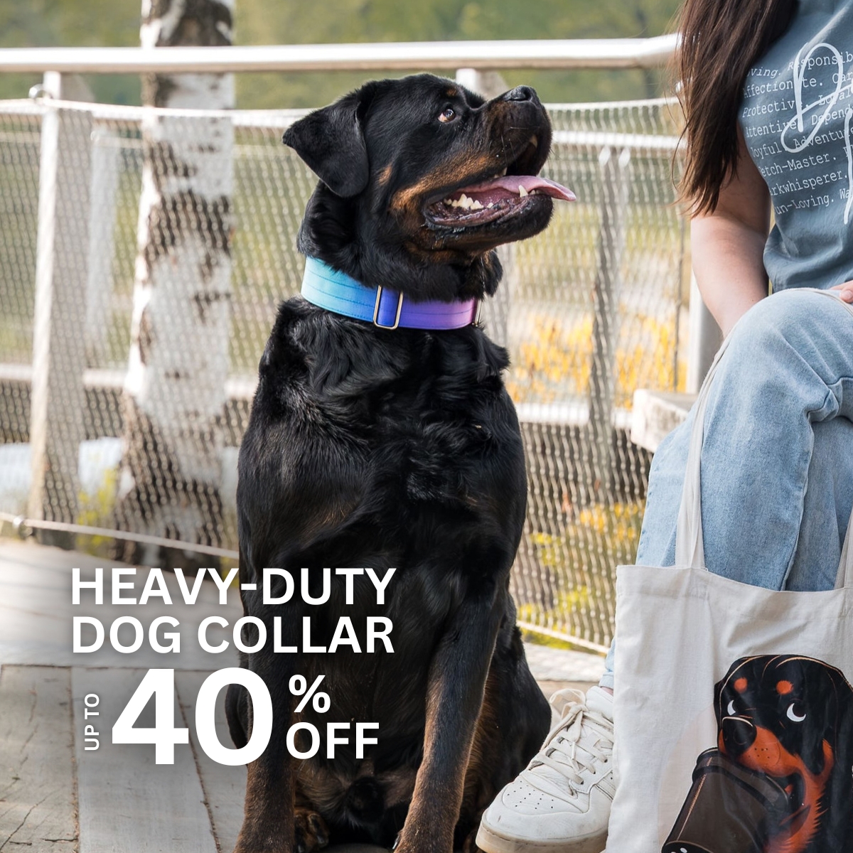 Spark Paws Facebook ad