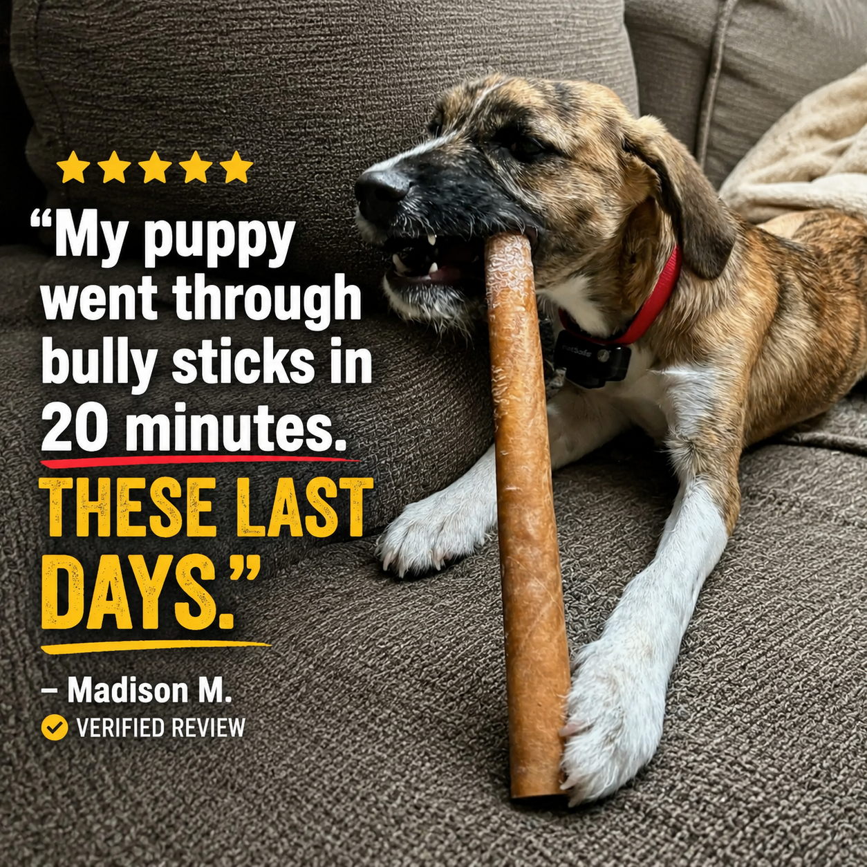 Wholly Pup Facebook ad: Twice the Chew Time, Half the Price