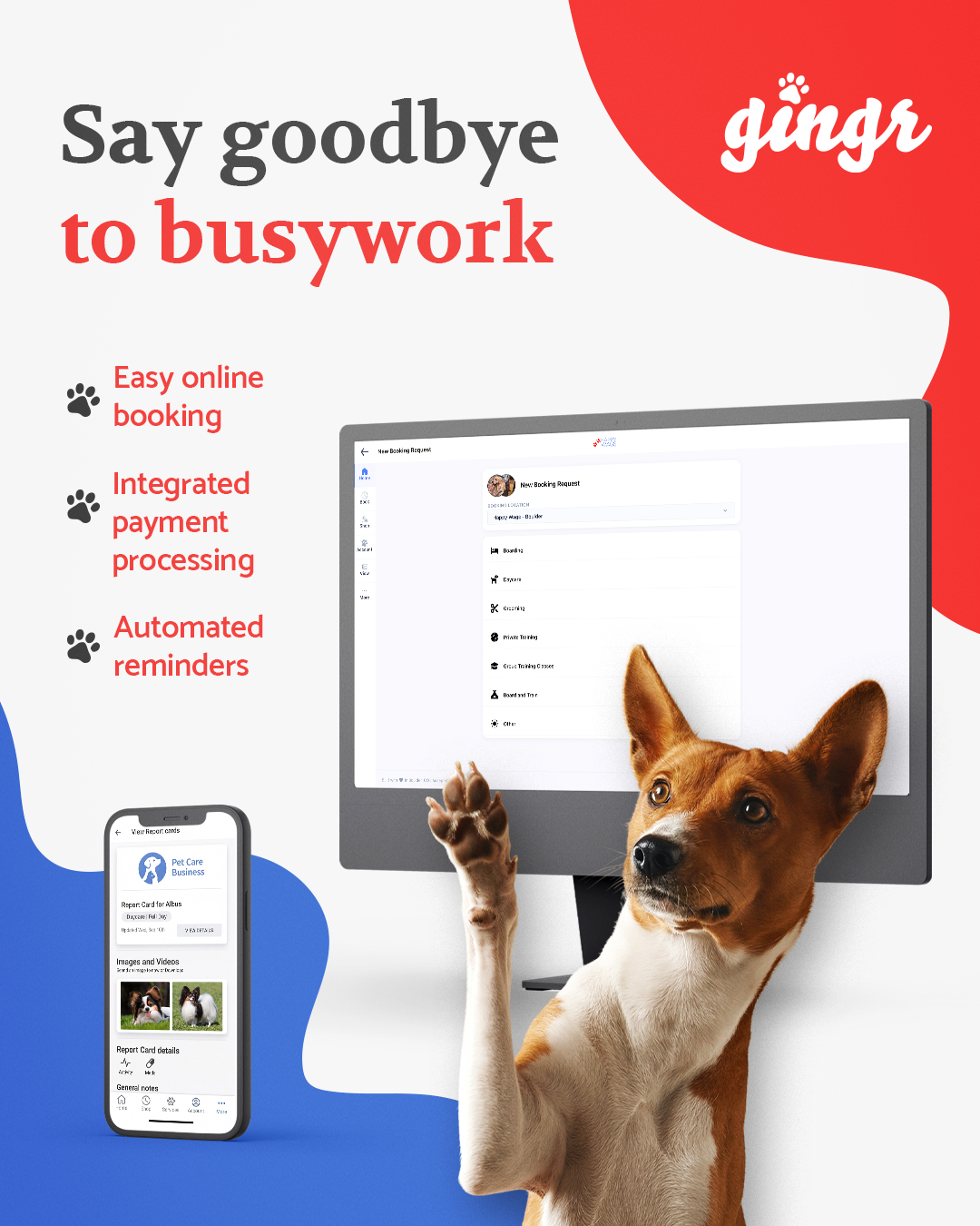 Gingr Facebook ad