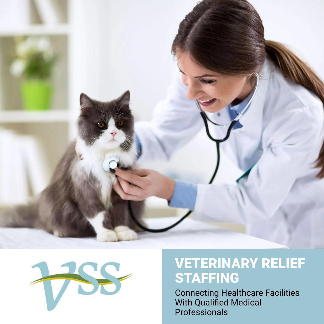Veterinary System Services, Inc. Facebook ad