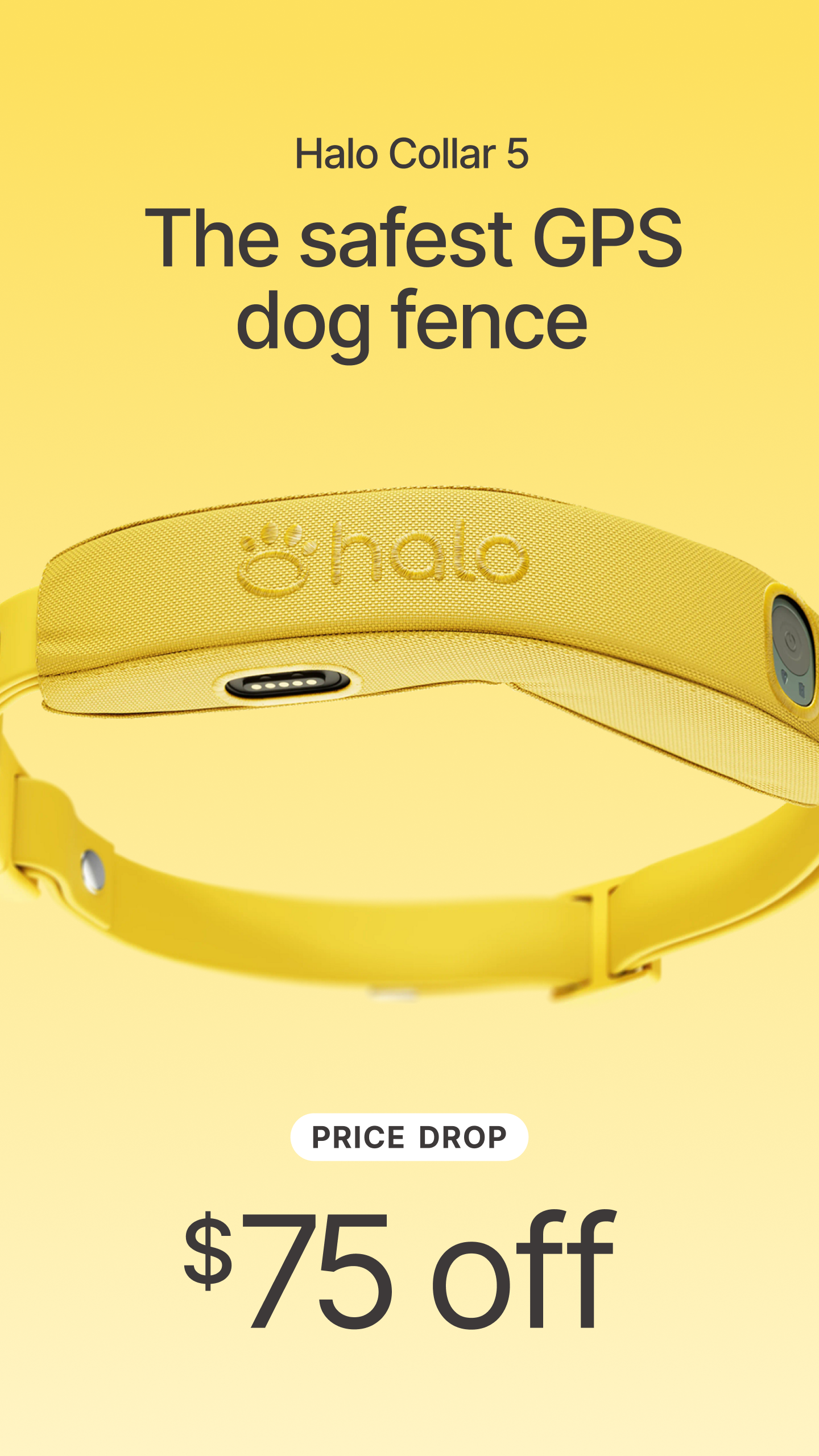 Halo Collar Facebook ad