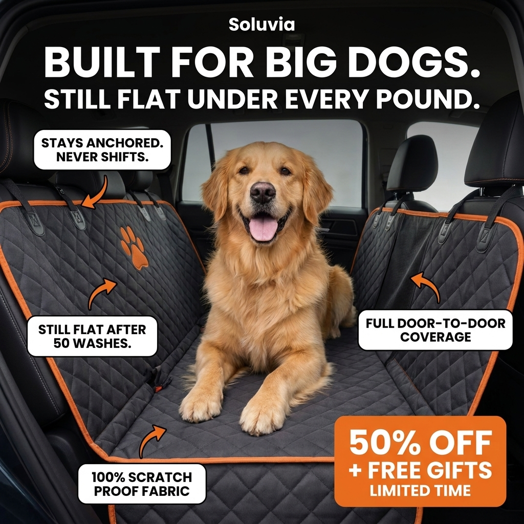 Soluvia Facebook ad: Your Dog Deserves Better.