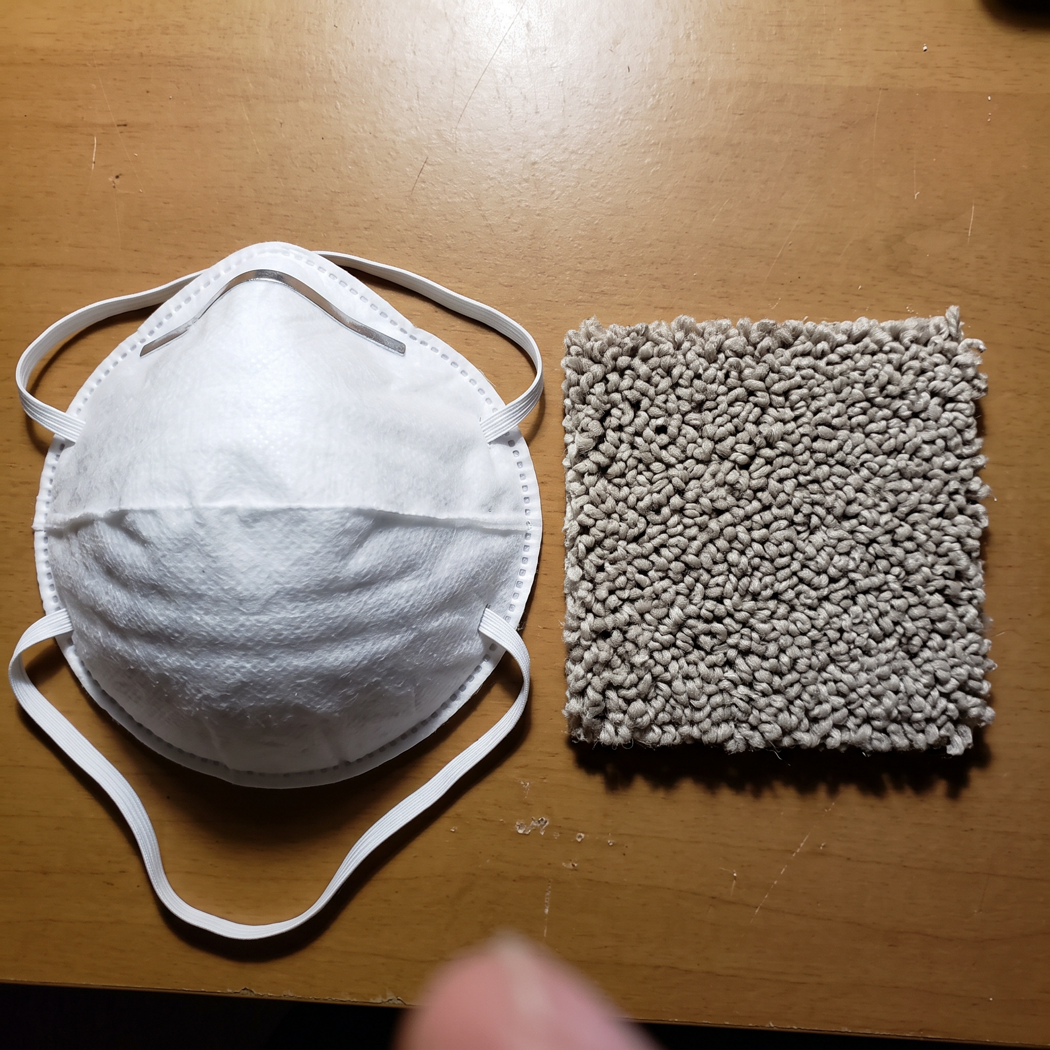 Life With Shedding Pets Facebook ad: Your carpet was designed to hold pet hair