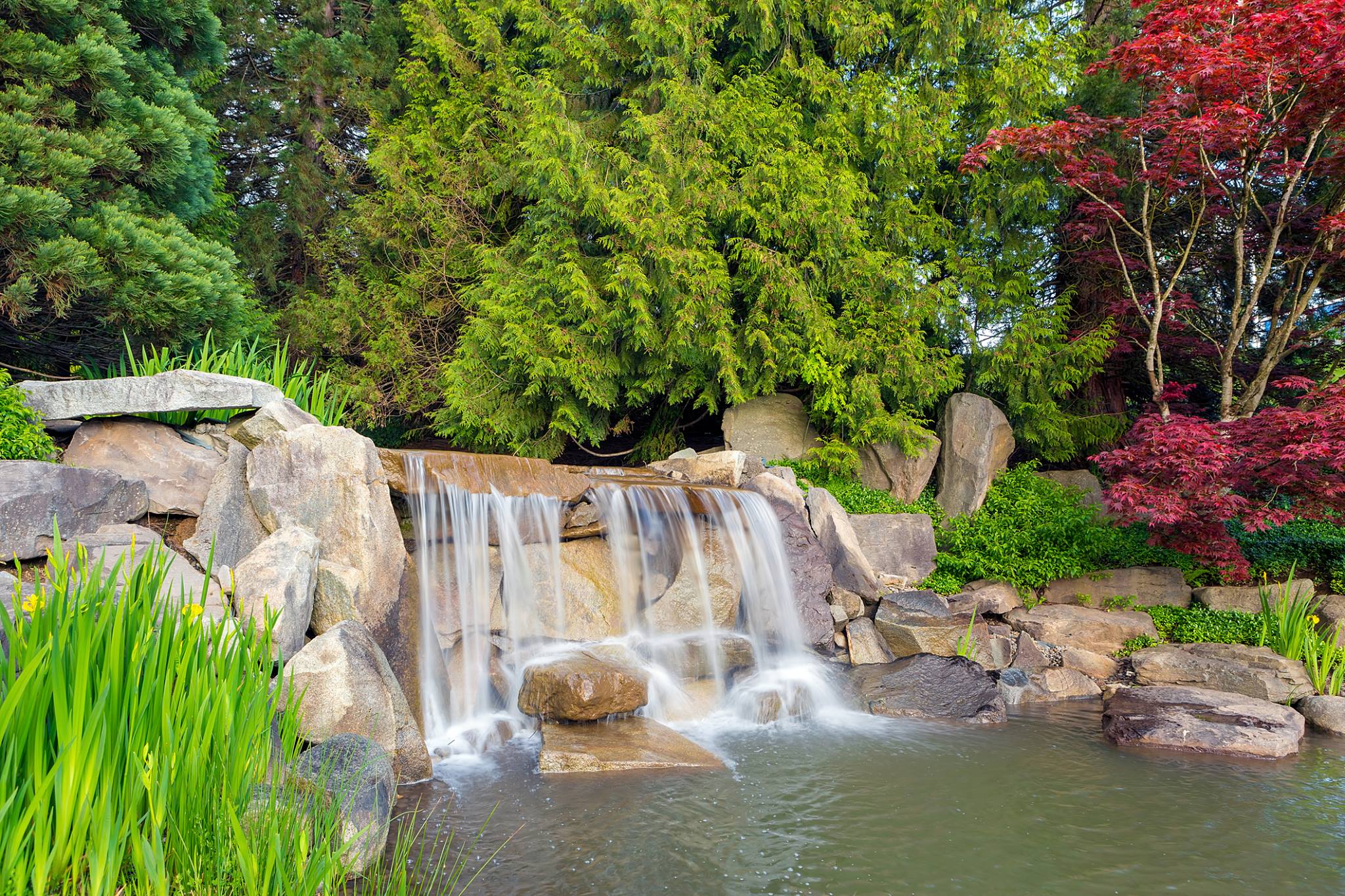 American POND & Gardens Facebook ad: Water Gardens and Water Feature design and installation.