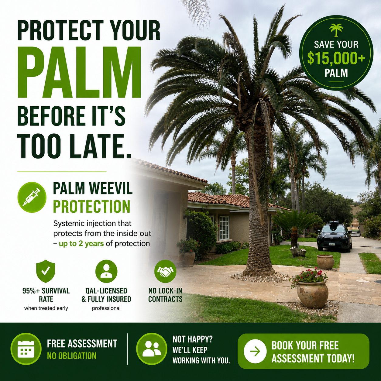SD Soil and Soul Facebook ad: Protect Your Canary Island Date Palm for Up to 2 Years