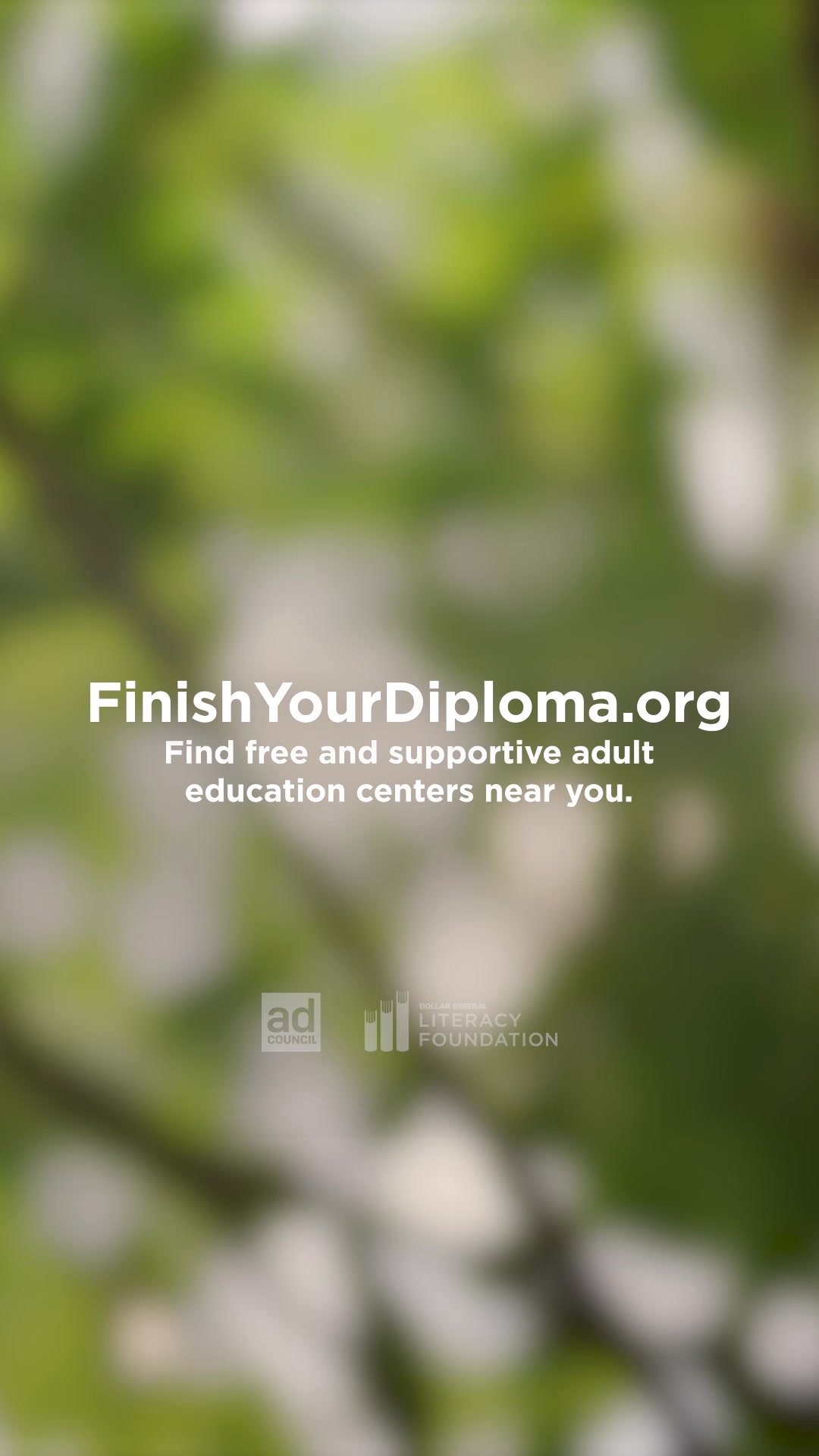 Finish Your Diploma Facebook ad from Jul 31, 2026