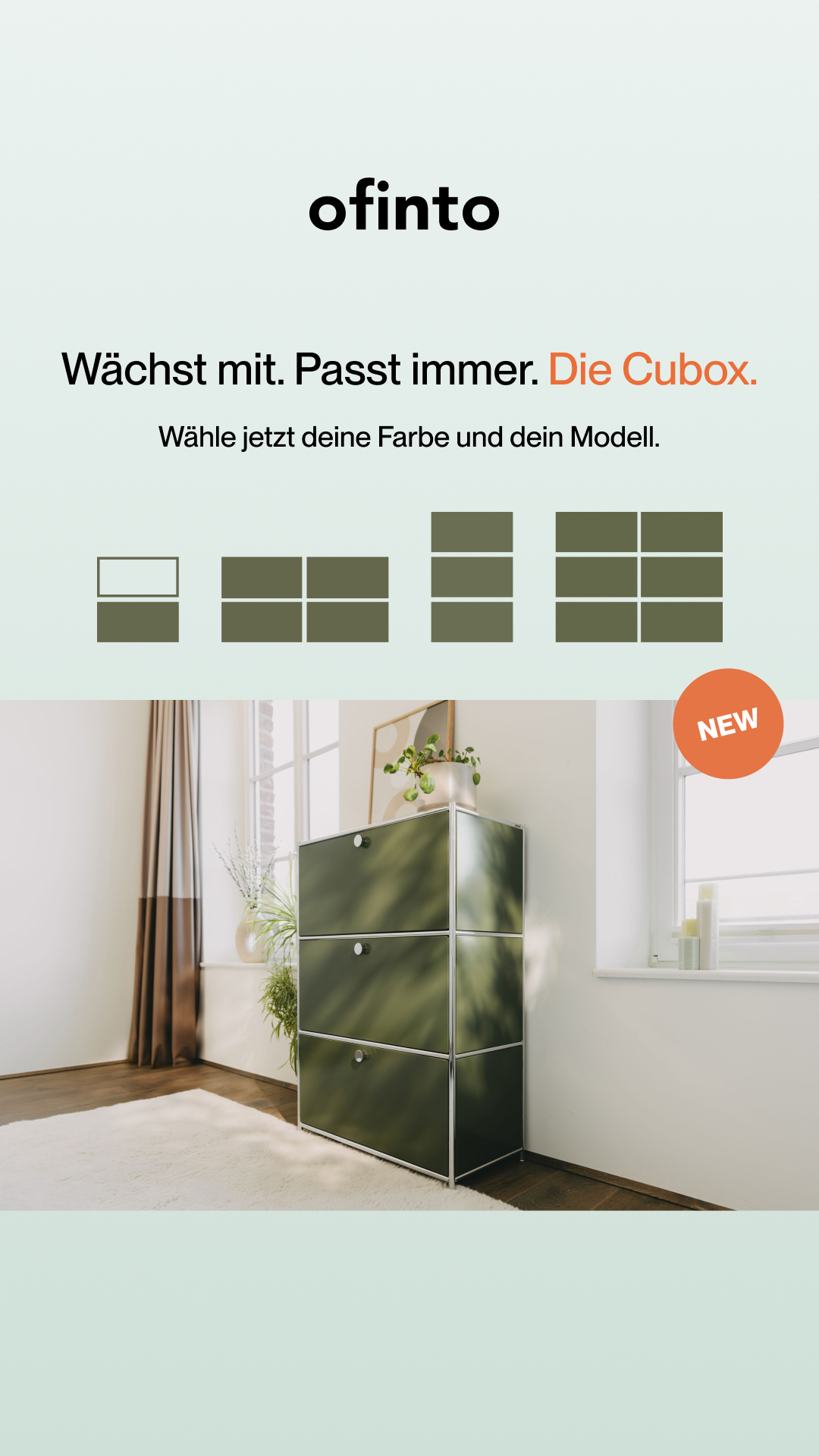 ofinto Facebook ad
