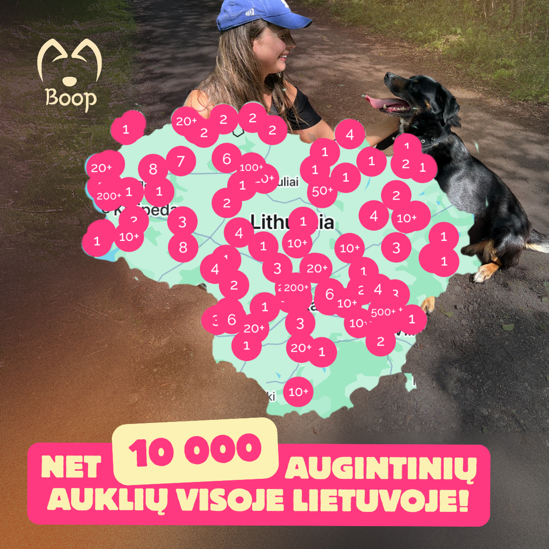 Boop Facebook ad