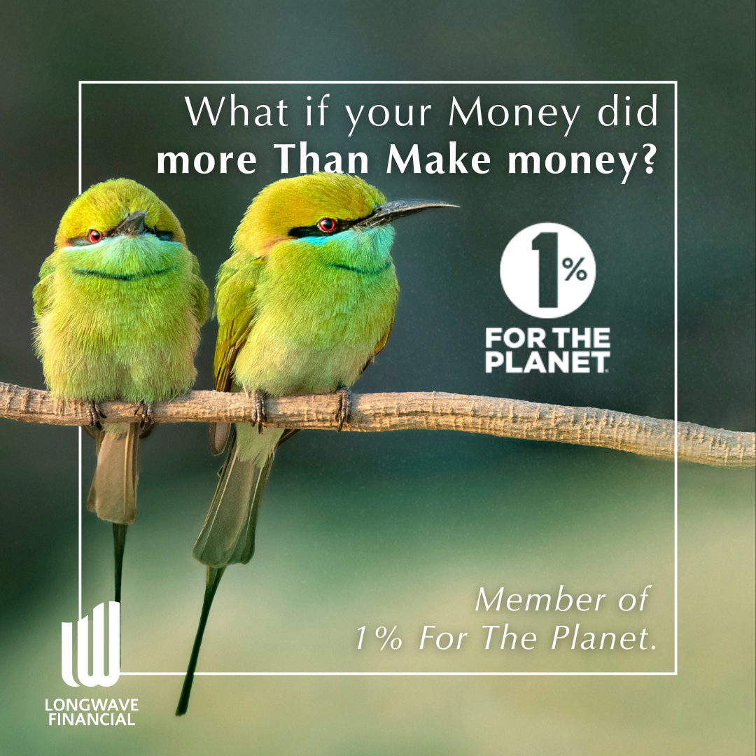 Longwave Financial Facebook ad: Your portfolio should protect more than profits