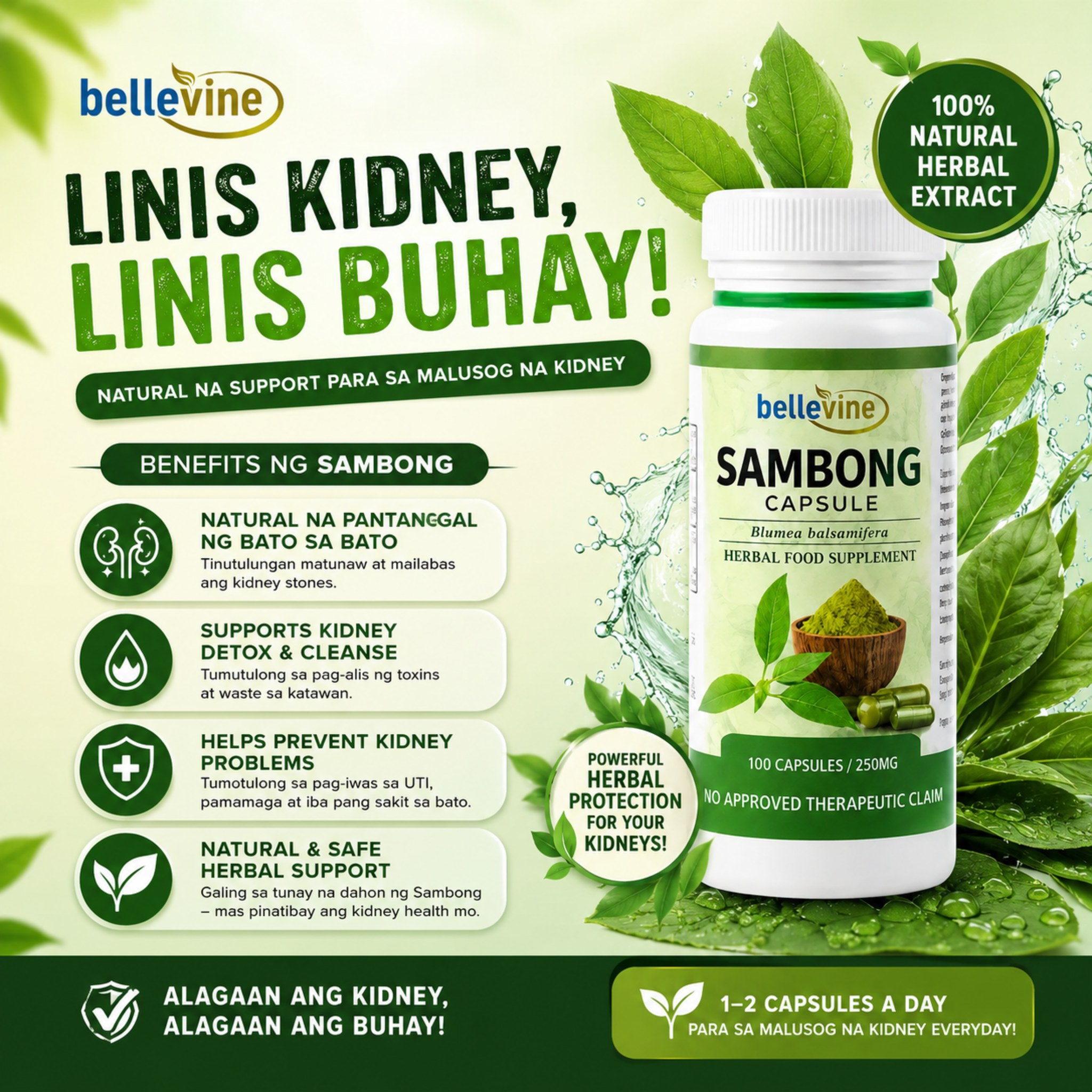 Sambong Healing Capsules PH Facebook ad