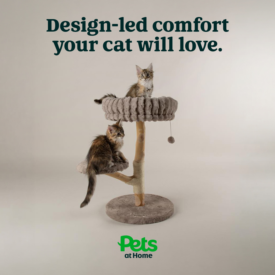 Pets UK Facebook ad: Shop the Scruffs collection today