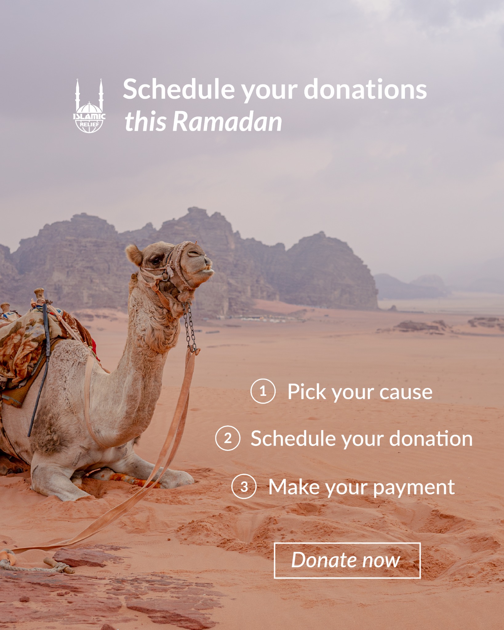 Islamic Relief UK Facebook ad