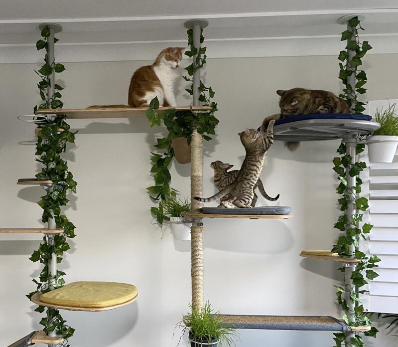 Omlet - Les produits pour vos animaux Facebook ad