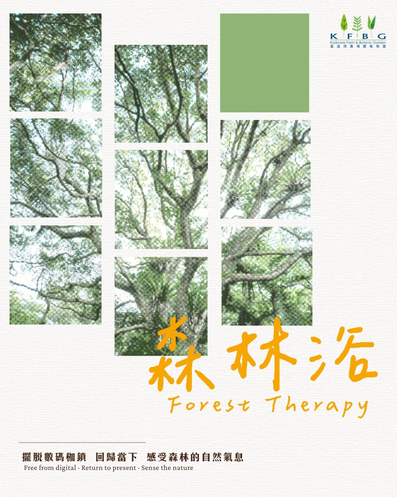 嘉道理農場暨植物園 Kadoorie Farm and Botanic Garden Facebook ad: 都市生活節奏緊湊,是否感到身心疲倦?不妨停下腳步,走進嘉道理農場暨植物園(KFBG)的盎然生機及綠意之中。在認證森林療…