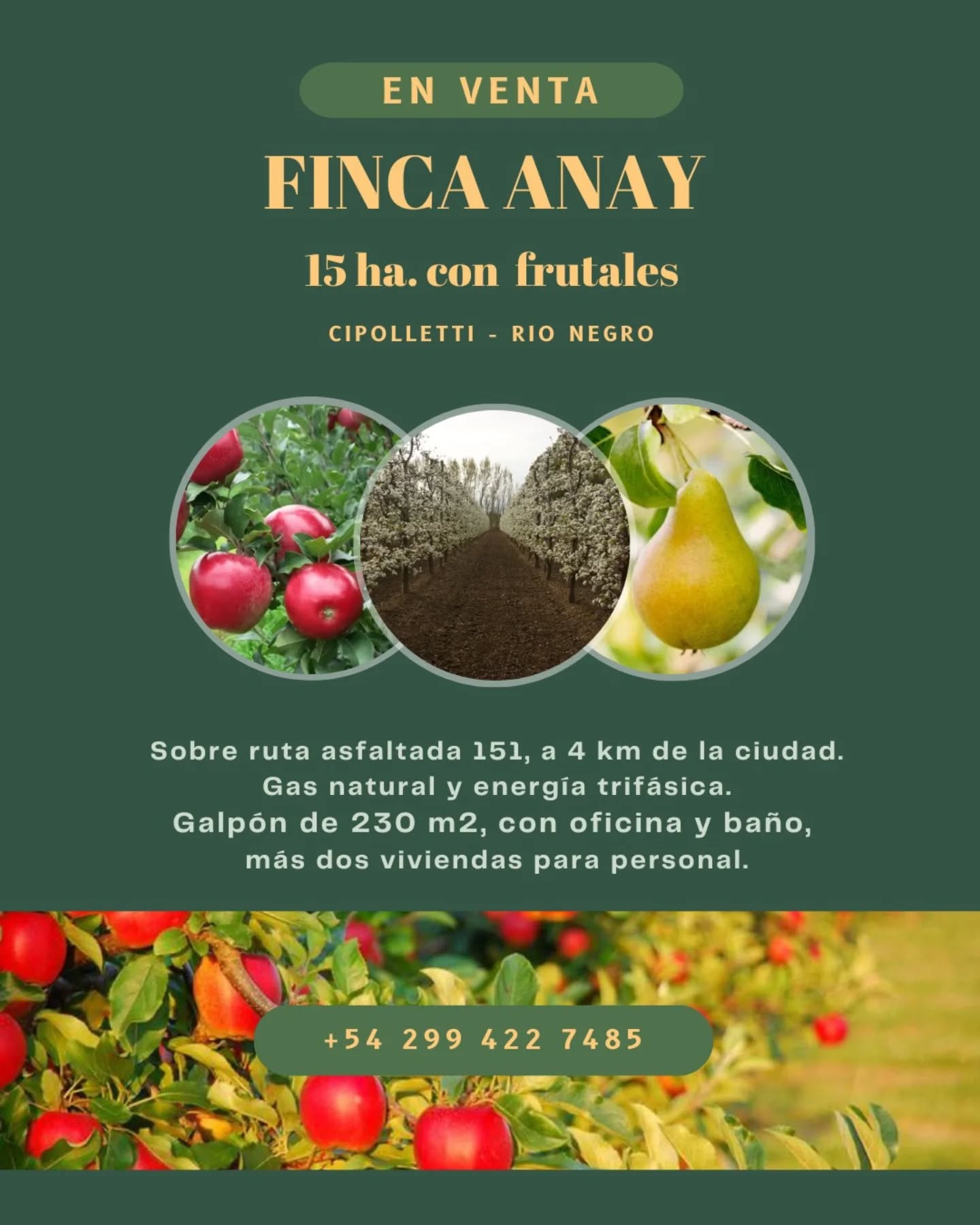 FINCA 4 Esquinas Facebook ad: Propiedad de 15 hectáreas en el Alto Valle…