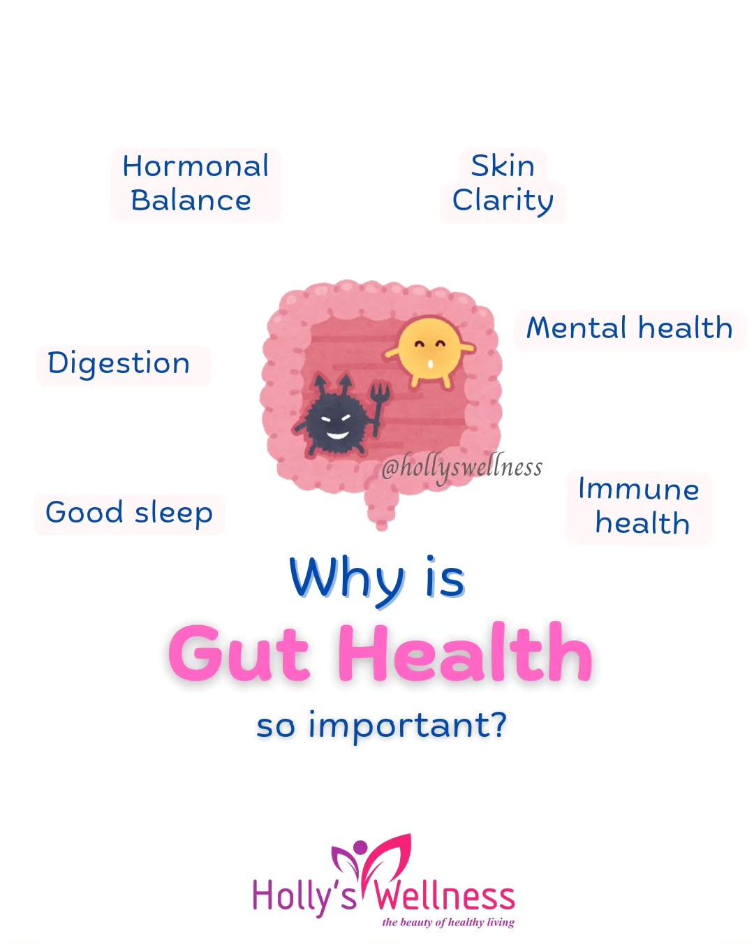 Holly’s Wellness Facebook ad: Happy Gut = Happy Mind = Happy Skin…