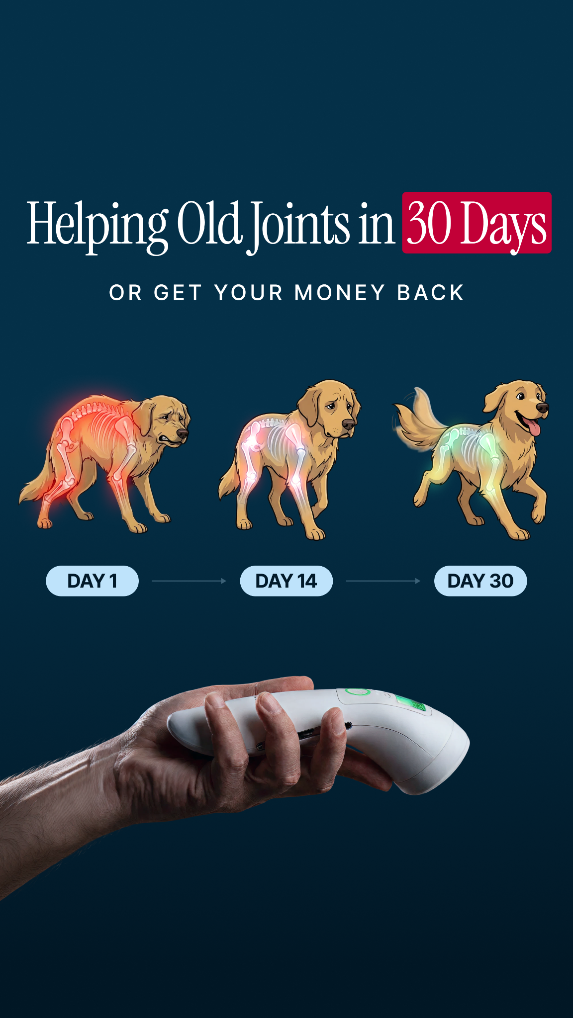 Helio Pet Facebook ad