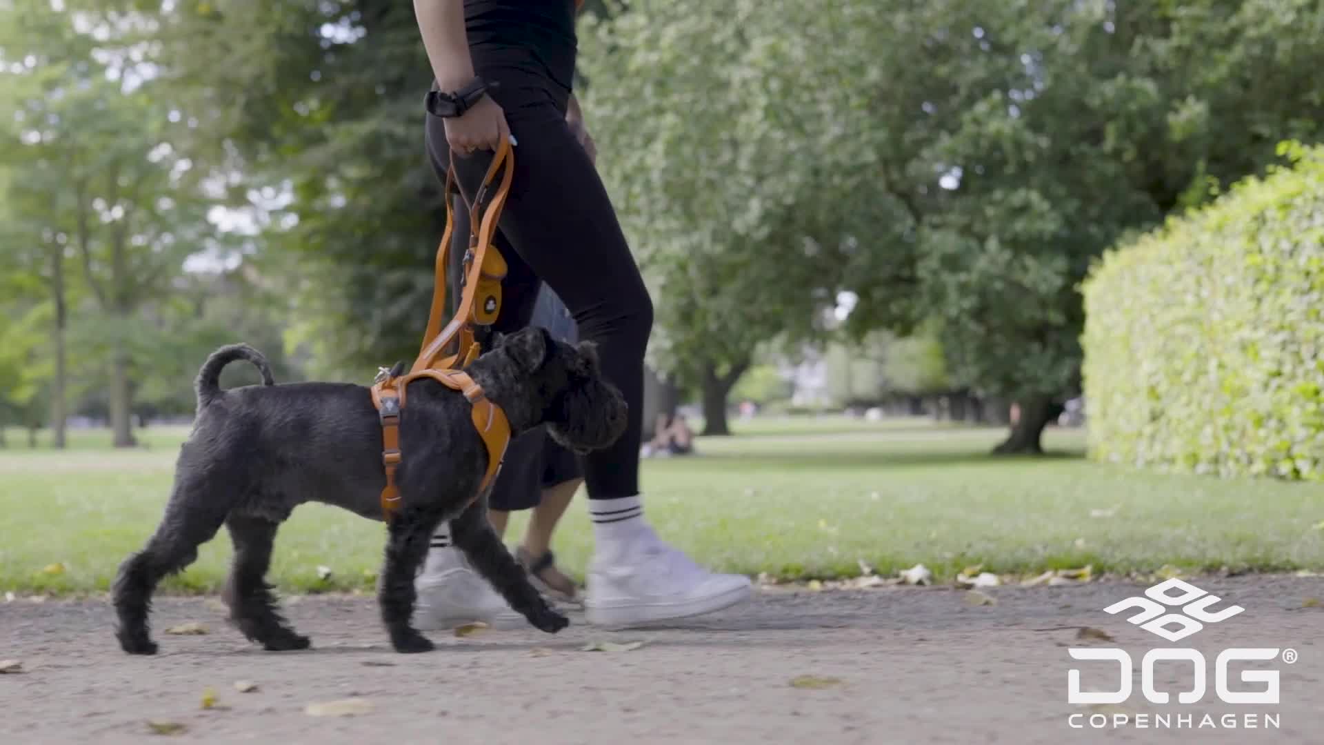 DOG Copenhagen Facebook ad: Se alle vores produkter her