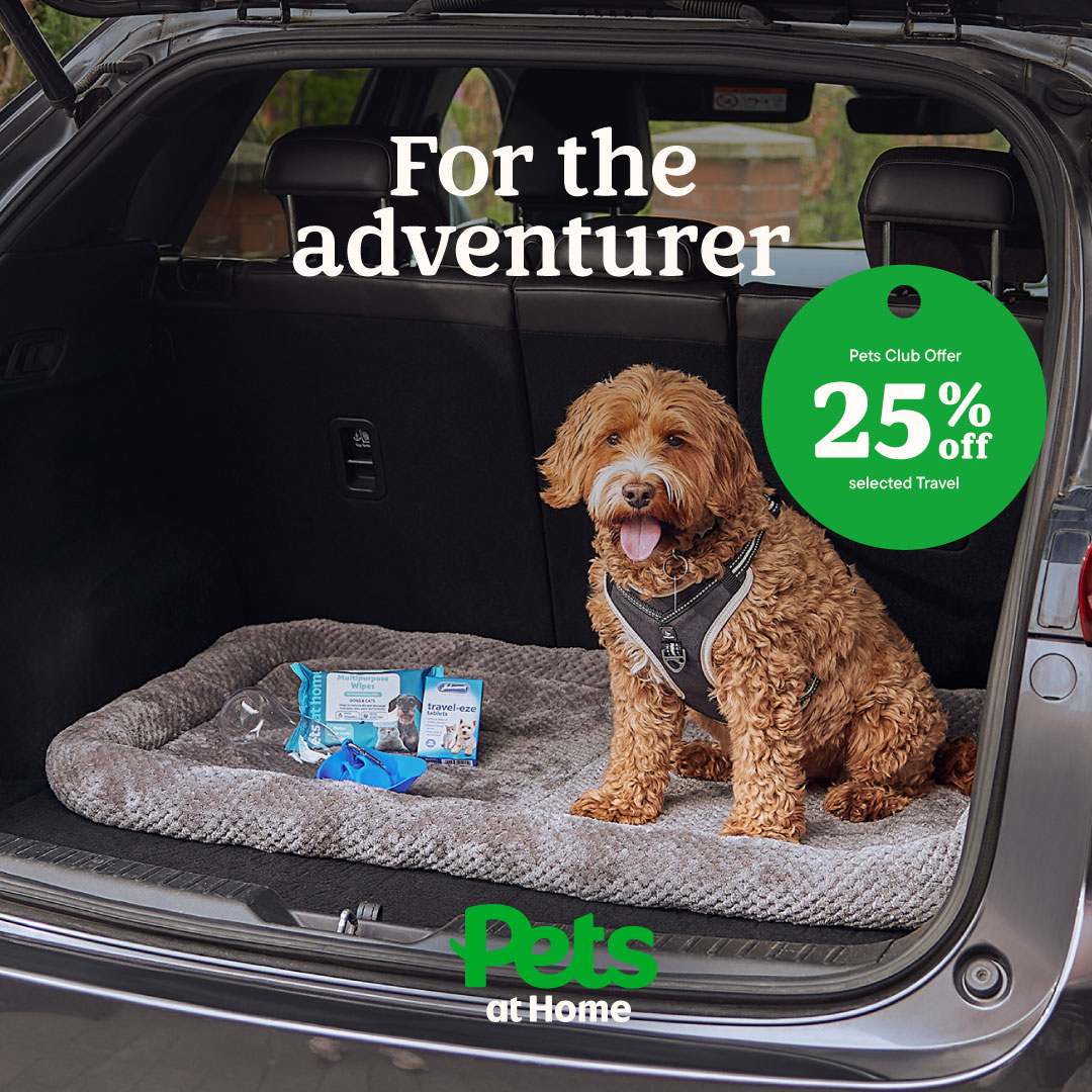 Pets UK Facebook ad