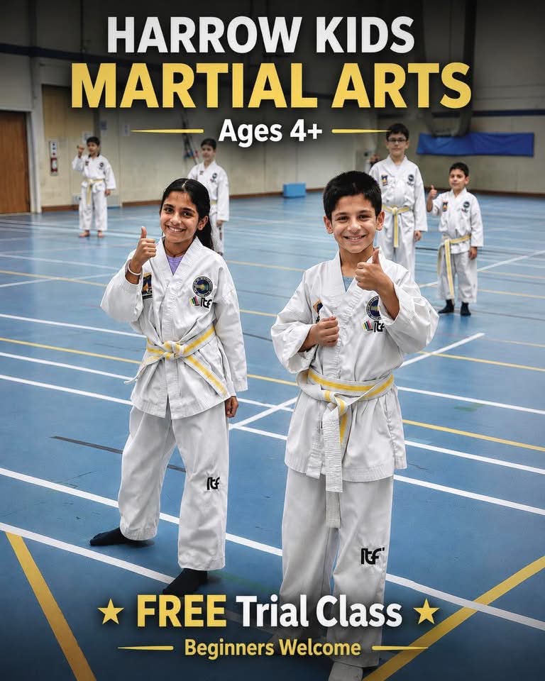 Palcic Taekwondo Facebook ad